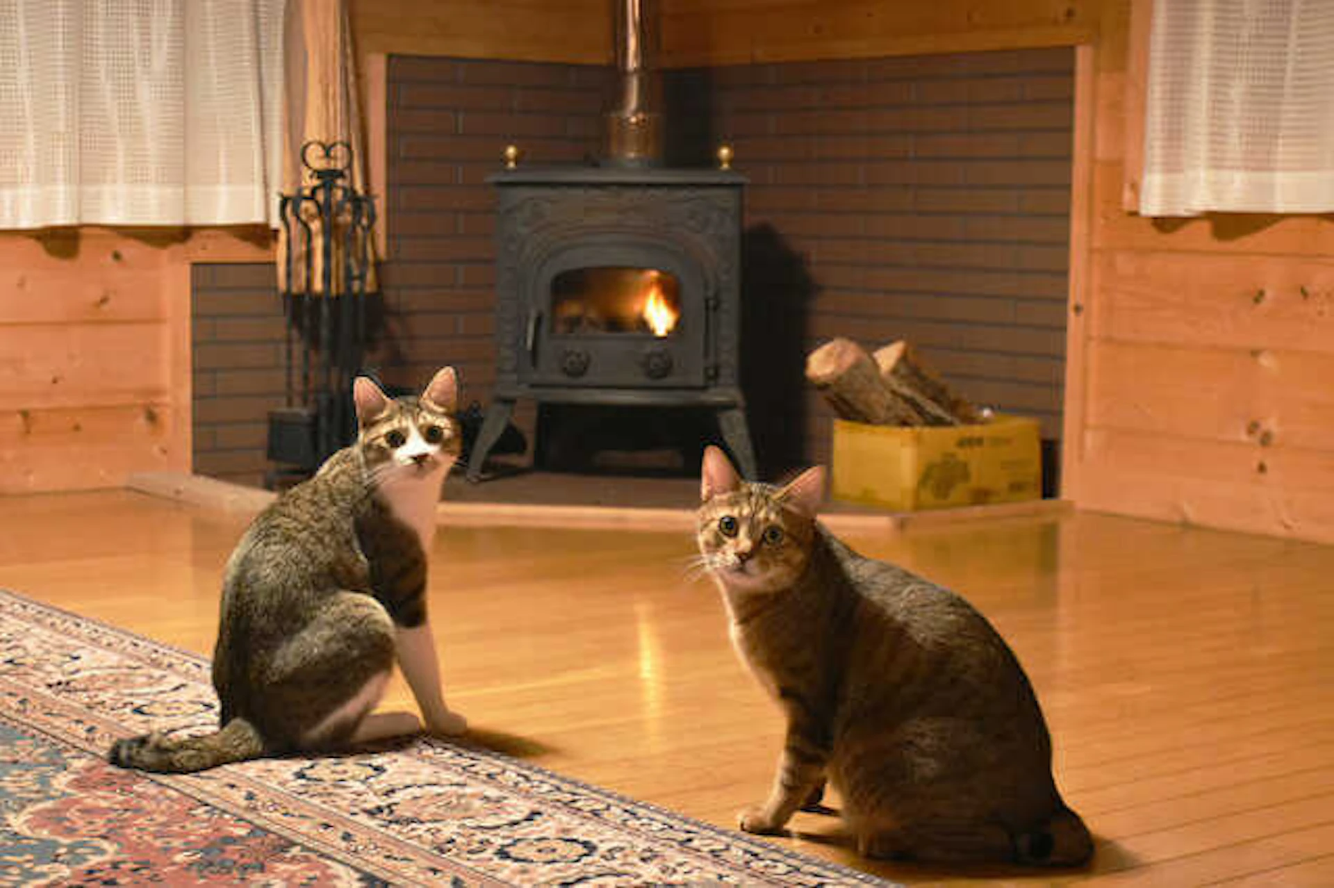 薪ストーブとペレットストーブの設置費用やメリット・デメリット比較