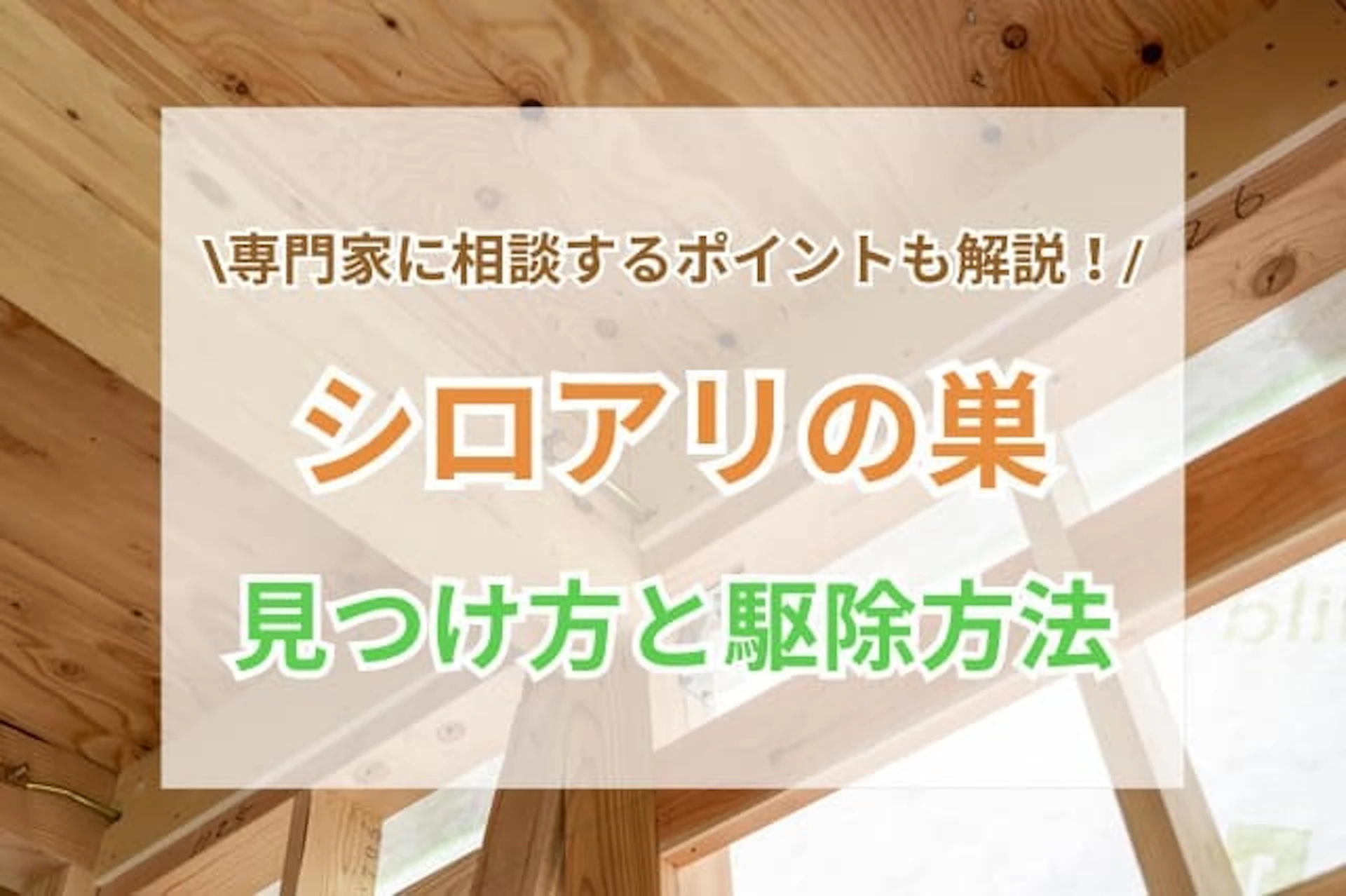 サムネイル:シロアリの巣の見つけ方と駆除・予防法7選