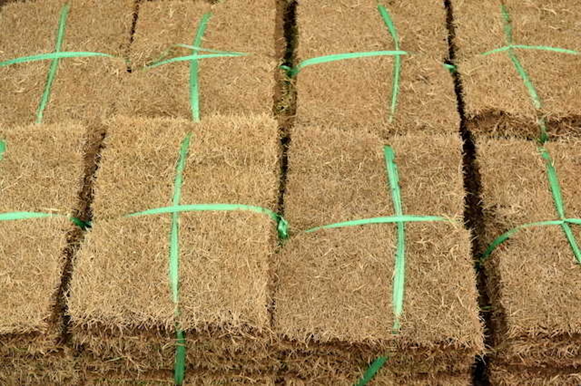 芝生を植えるのに適している場所