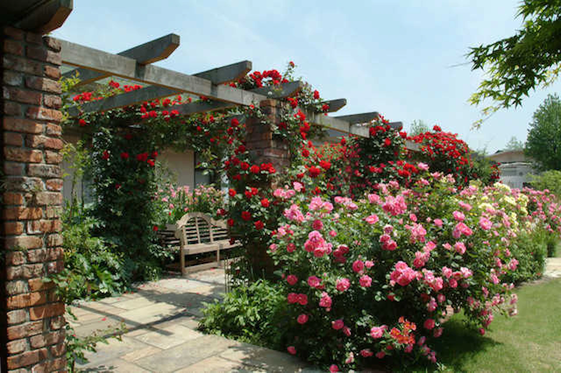 イングリッシュガーデンの作り方