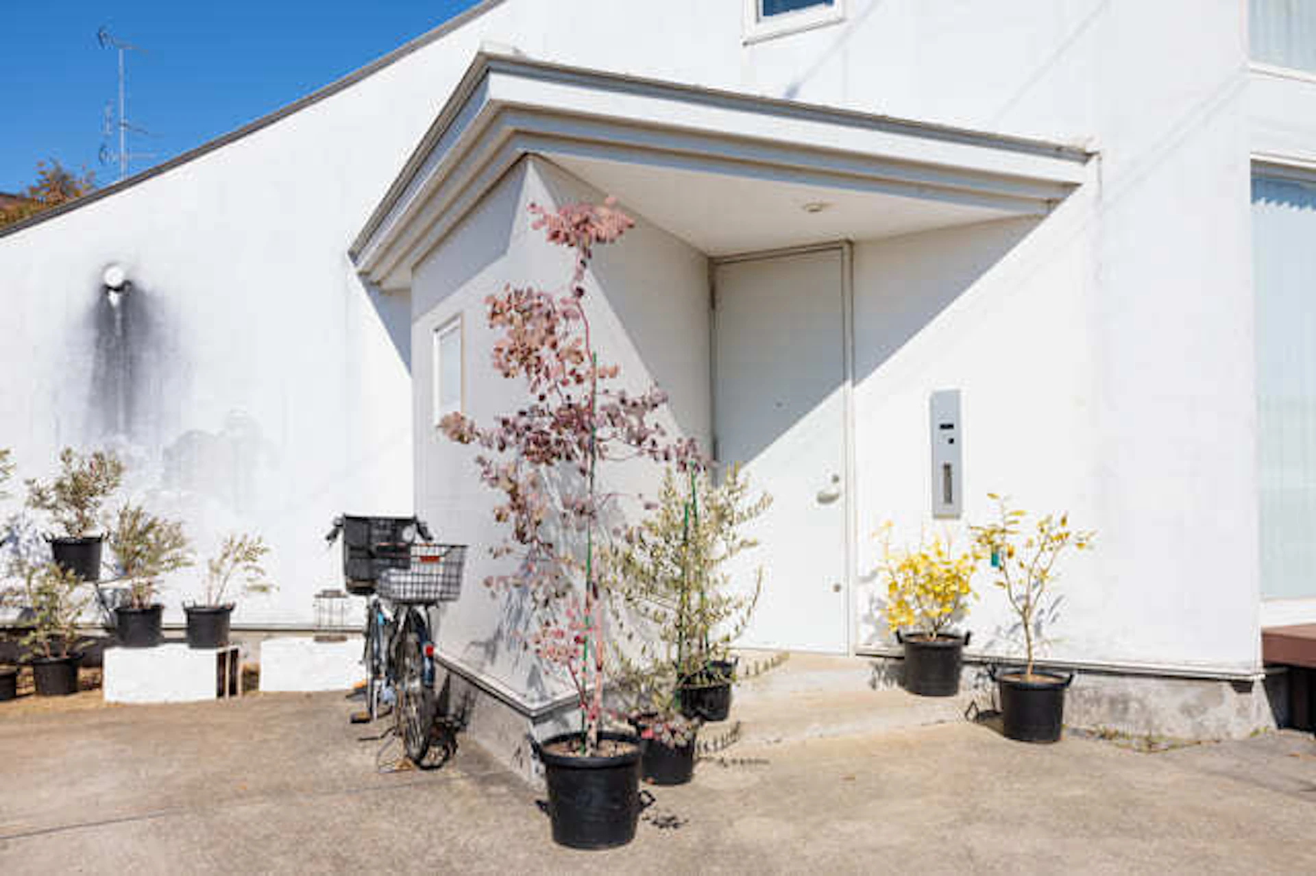 白い戸建ての玄関前に置いてある青い自転車