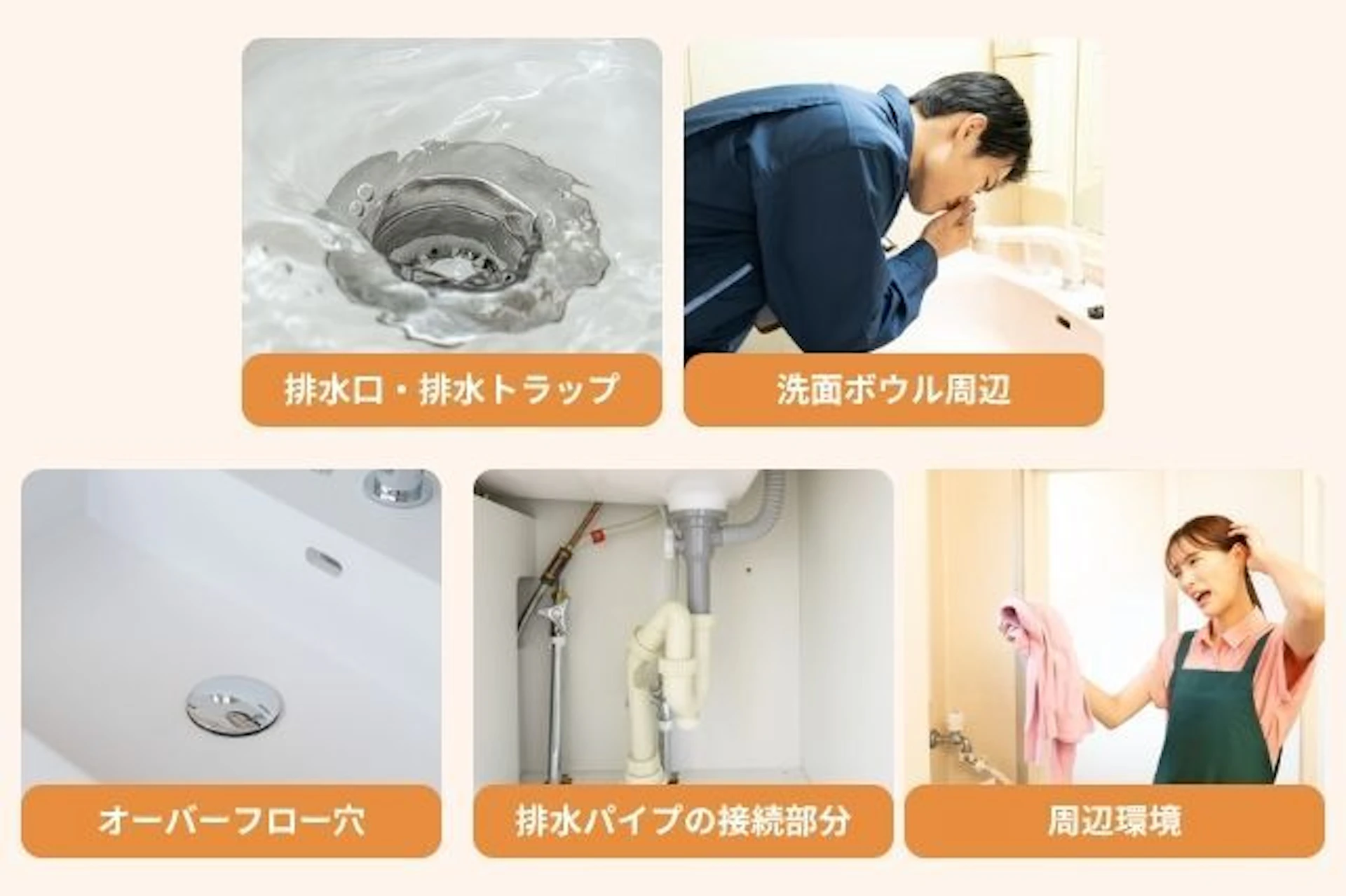 洗面所の臭いの発生源