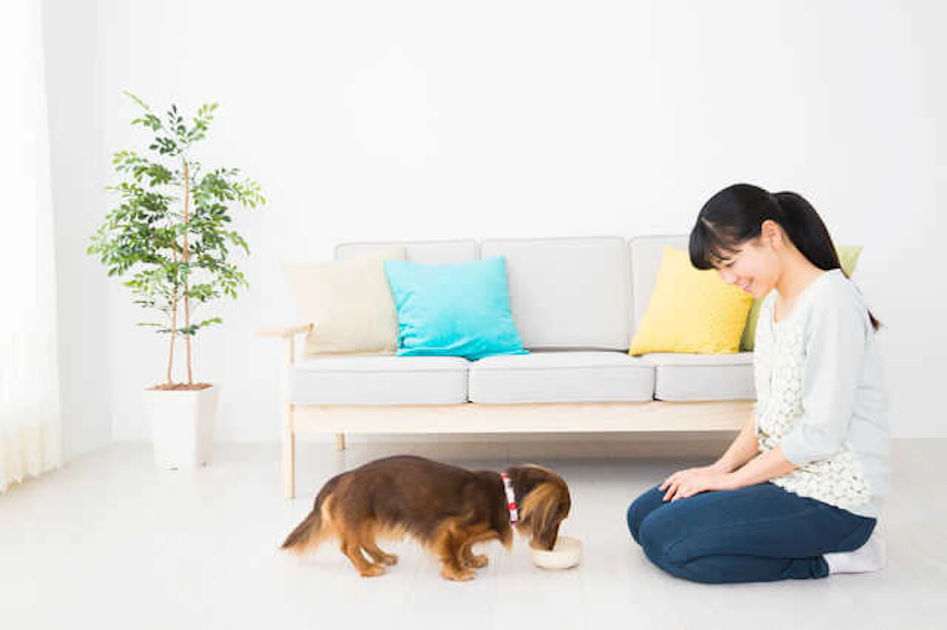 クッションフロアの特徴・張り替えリフォームの費用相場を紹介!