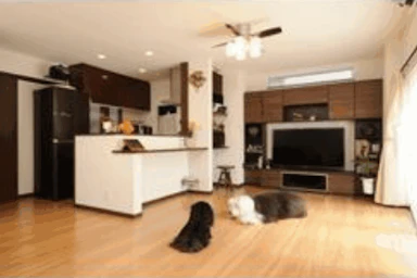 ペットと暮らすダイニング<100万円>