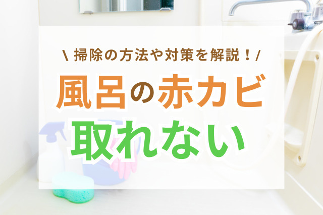風呂の赤カビ(ピンクカビ)が取れない！掃除の仕方や・頑固な汚れの