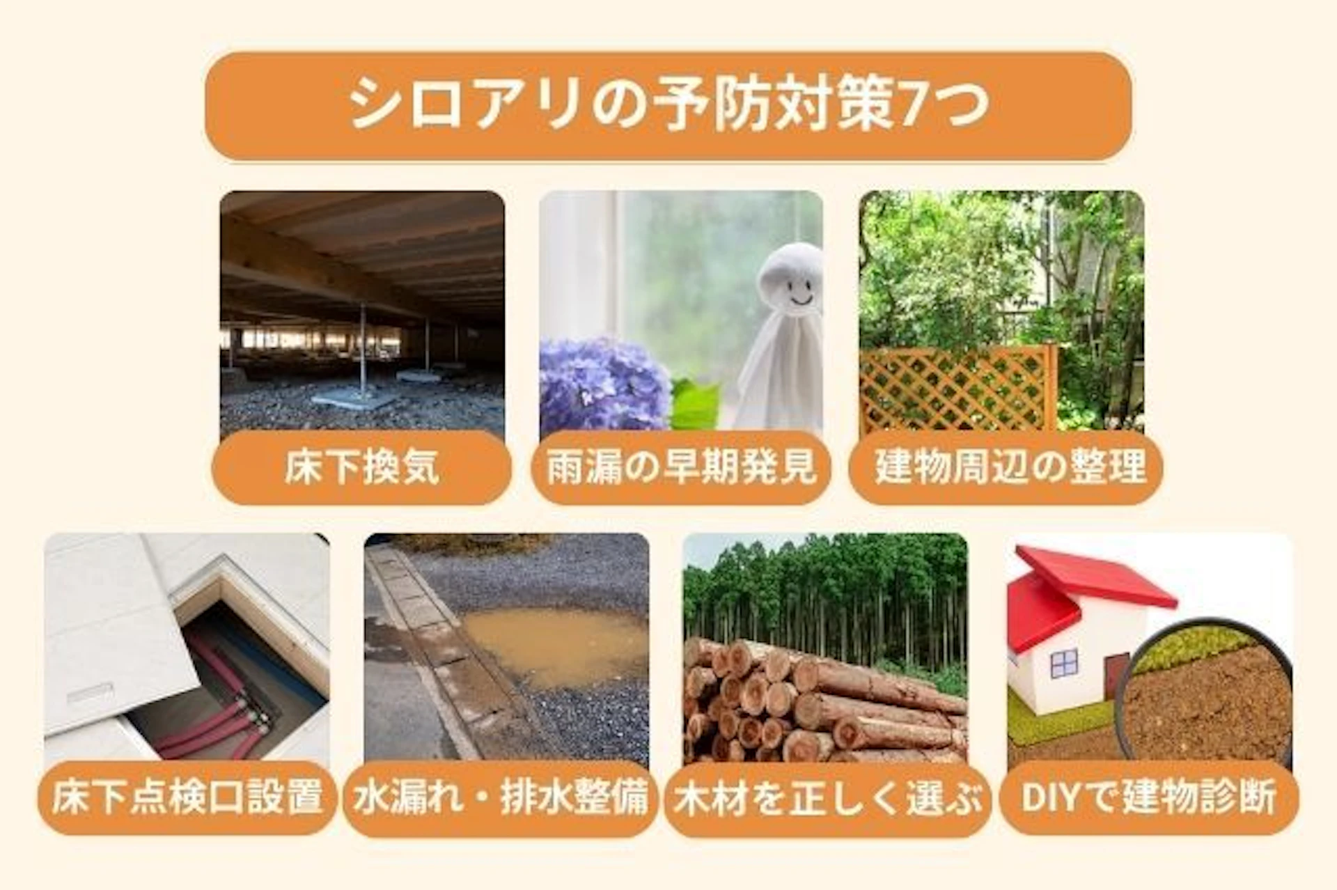 シロアリの予防対策7つ 建物周辺の整理 雨漏の早期発見 床下換気 DIYで建物診断 木材を正しく選ぶ 水漏れ・排水整備 床下点検口設置