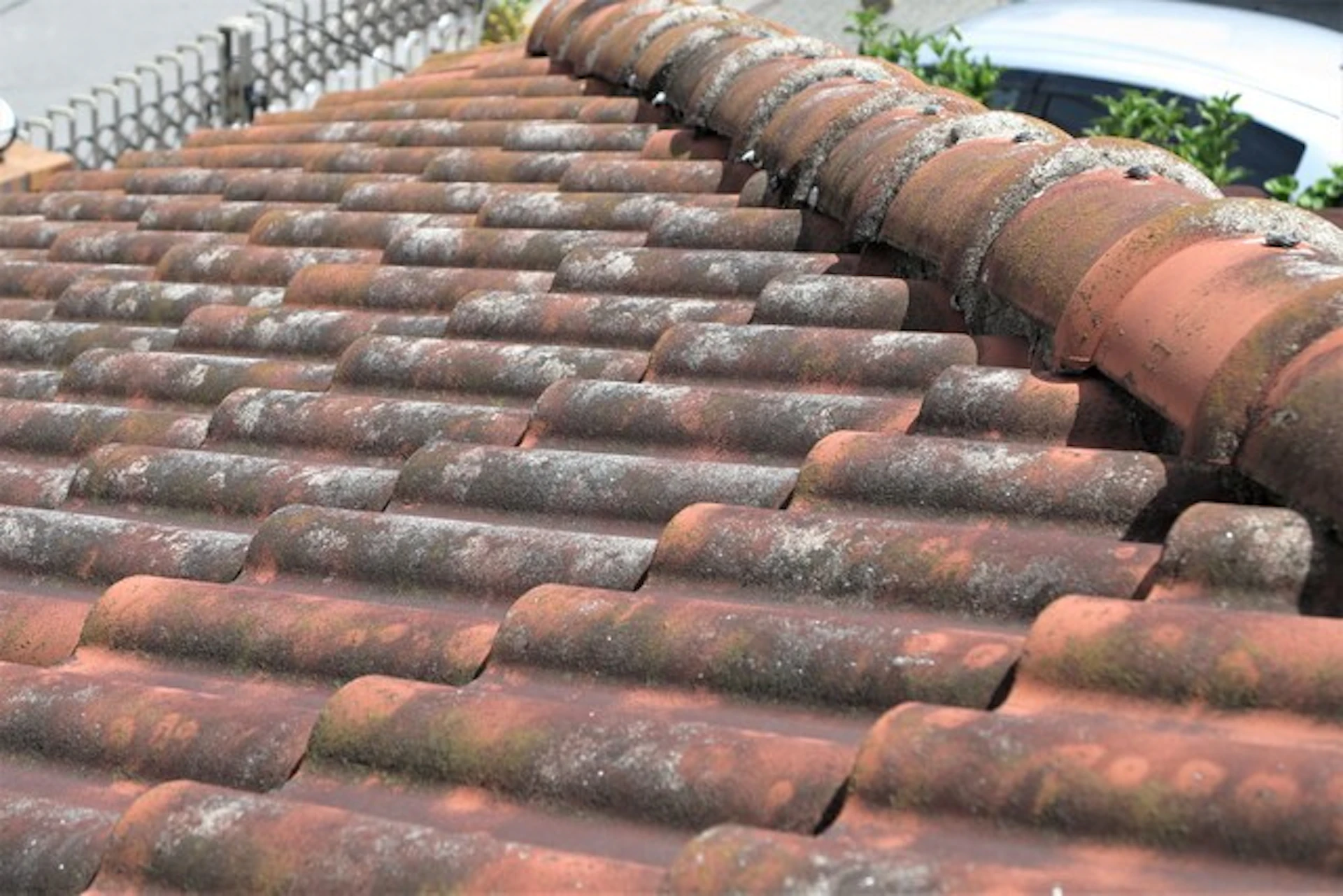 モニエル瓦が劣化したときの4つの状態