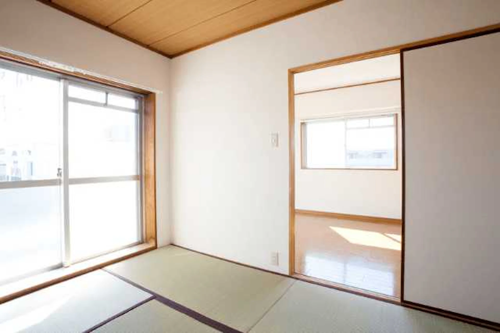 カビ・ダニ防止対策になる畳の掃除・お手入れ方法