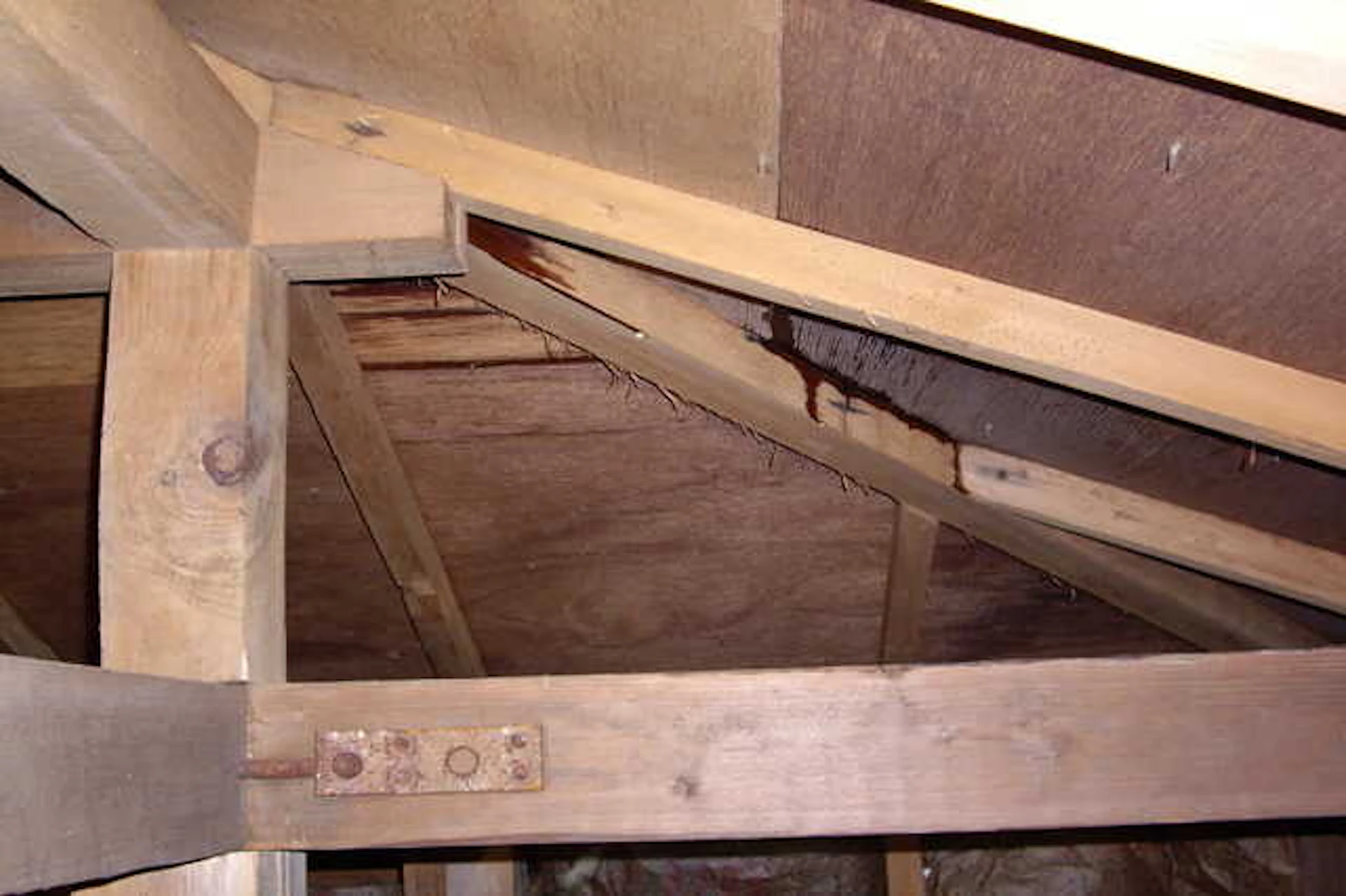 雨漏りが発生したとき