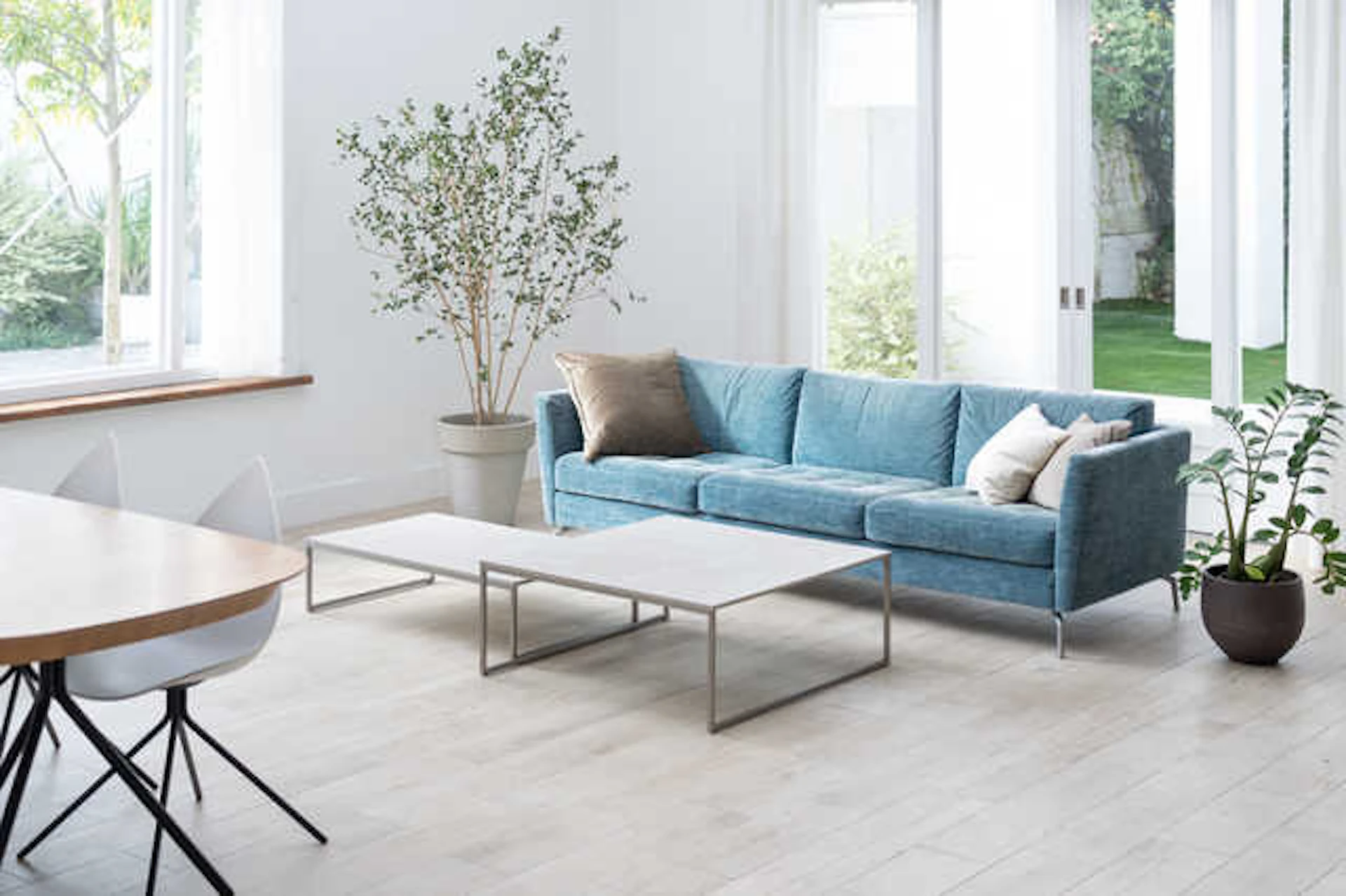 観葉植物と青いソファーのある広いリビング