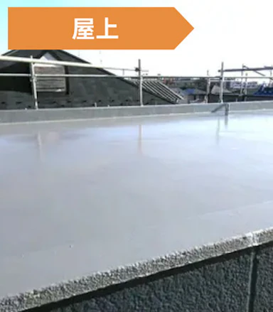 【修理費用相場】 50~250万円