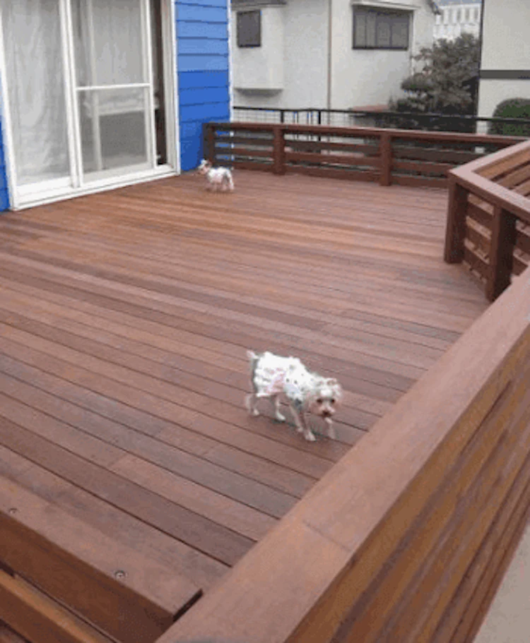 子供や犬が遊べる庭づくりのコツと注意点！ウッドデッキ・砂場などの実例やリフォーム費用も公開