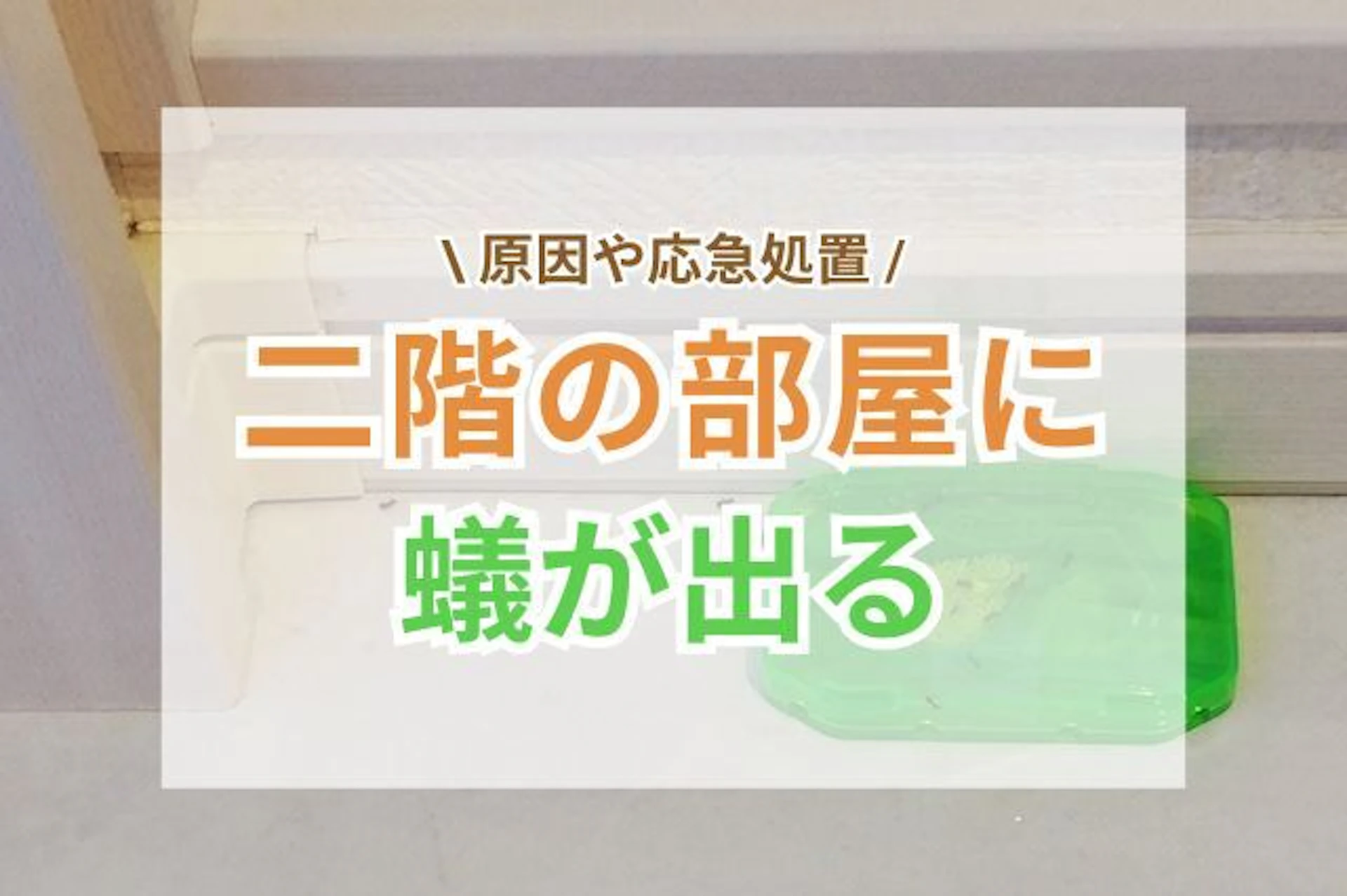 サムネイル:なぜ二階の部屋に蟻が出る?原因と確認ポイント・応急処置を解説