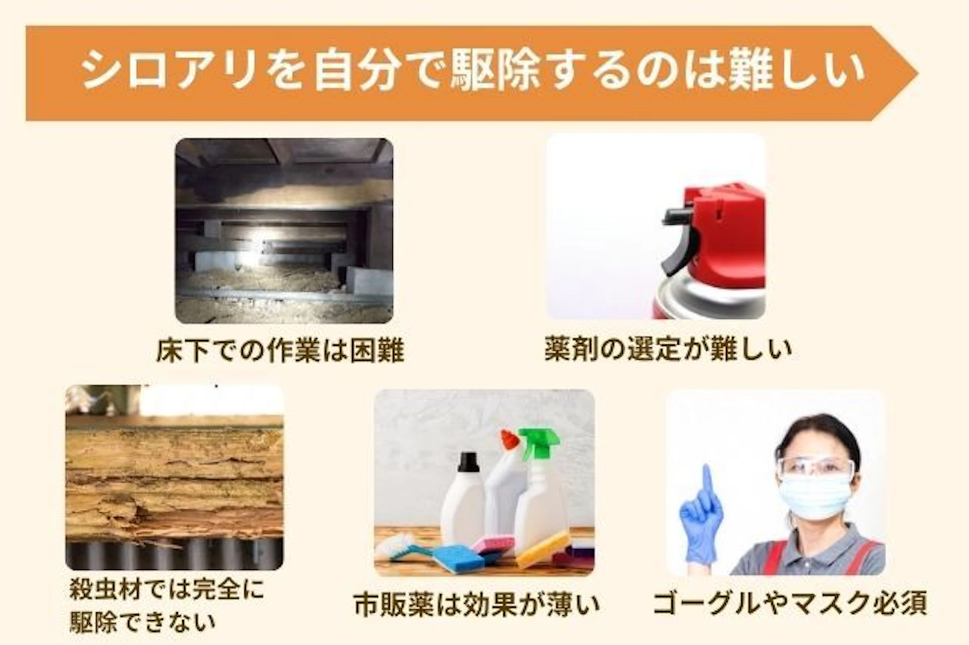 シロアリを自分で駆除するのは難しい