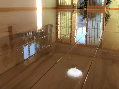 【10〜20万円】ペット向けフロアコーティング