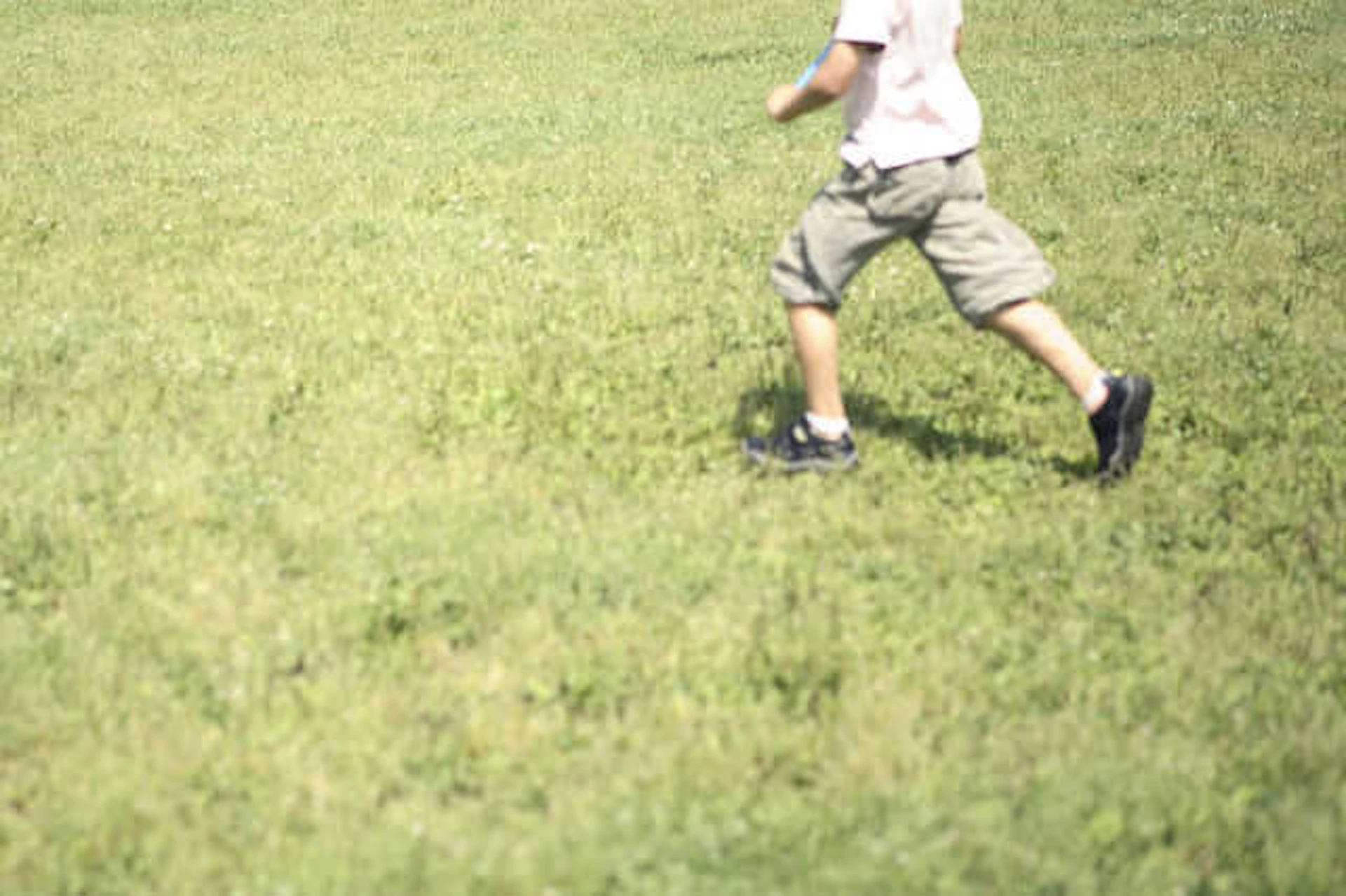 子供や犬が遊べる庭づくりのコツと注意点！ウッドデッキ・砂場などの実例やリフォーム費用も公開