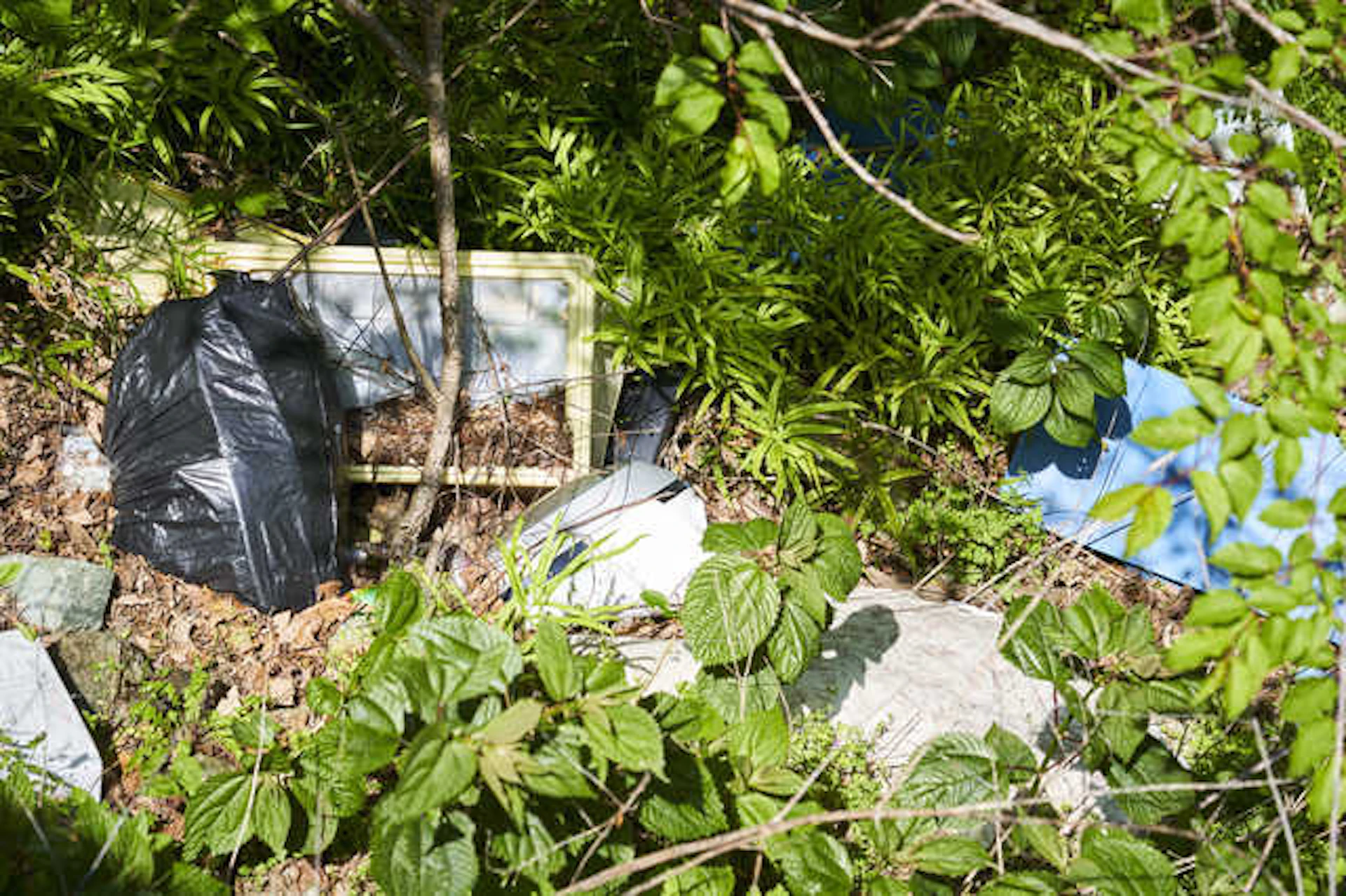 敷地内に不法投棄される可能性がある