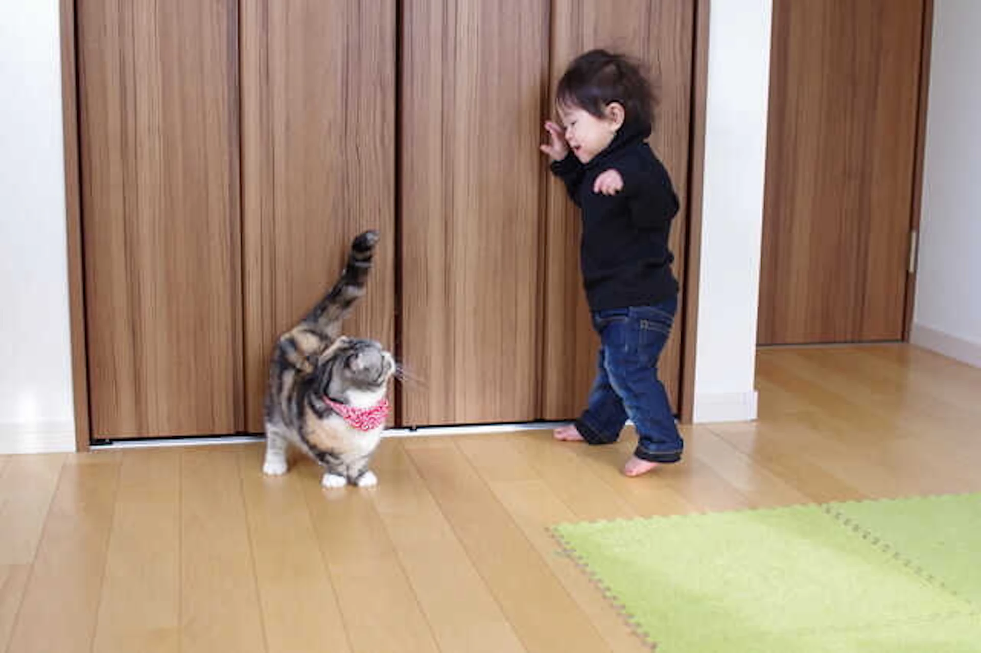 扉交換や鍵追加で、猫がドアを開けるいたずらを防止