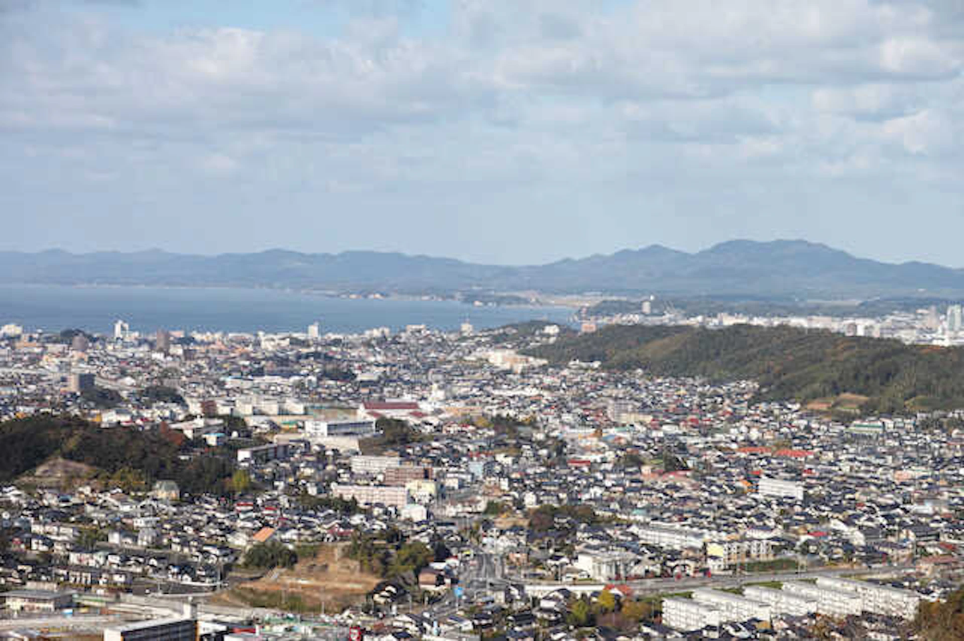 支店情報