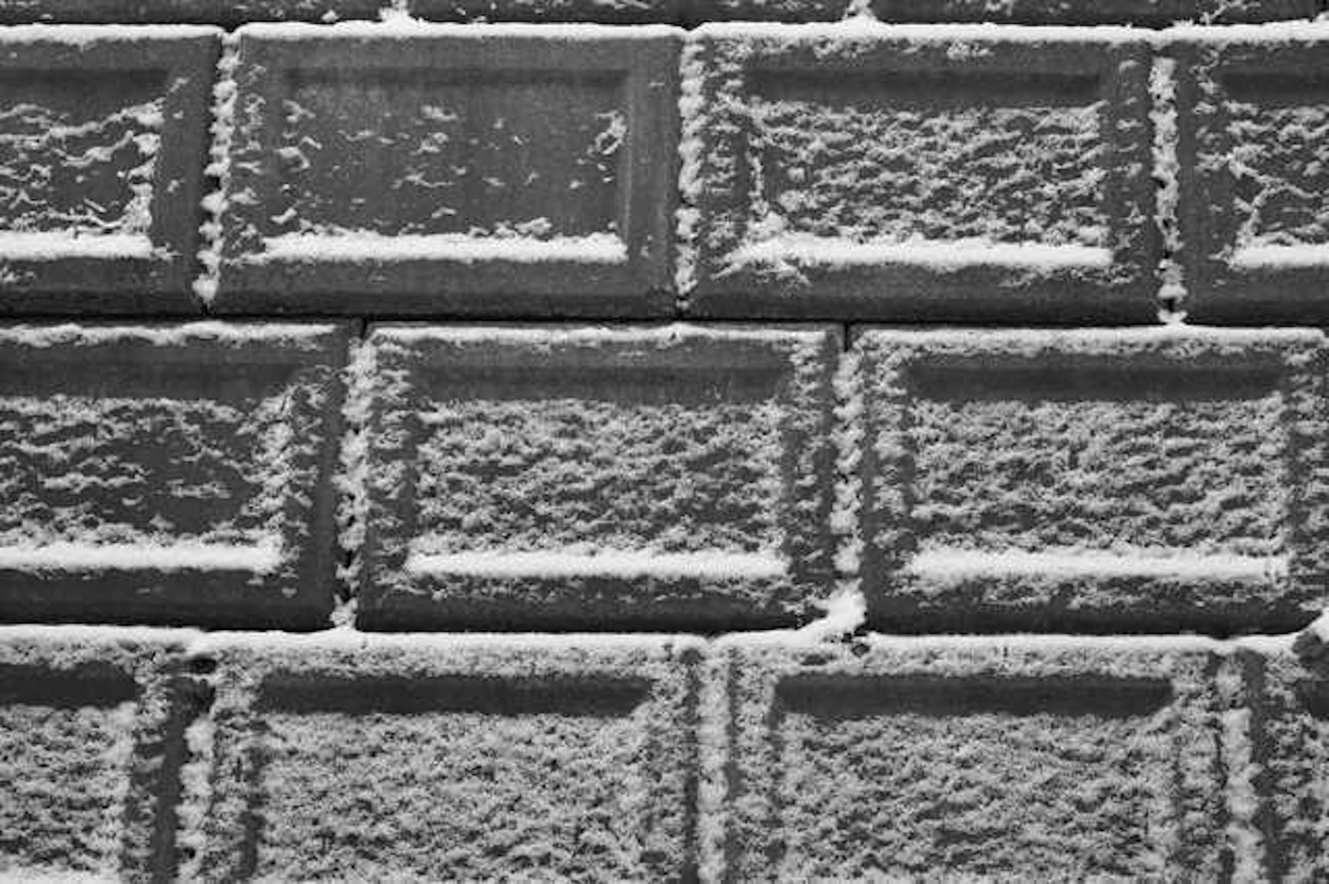 ブロック塀の撤去