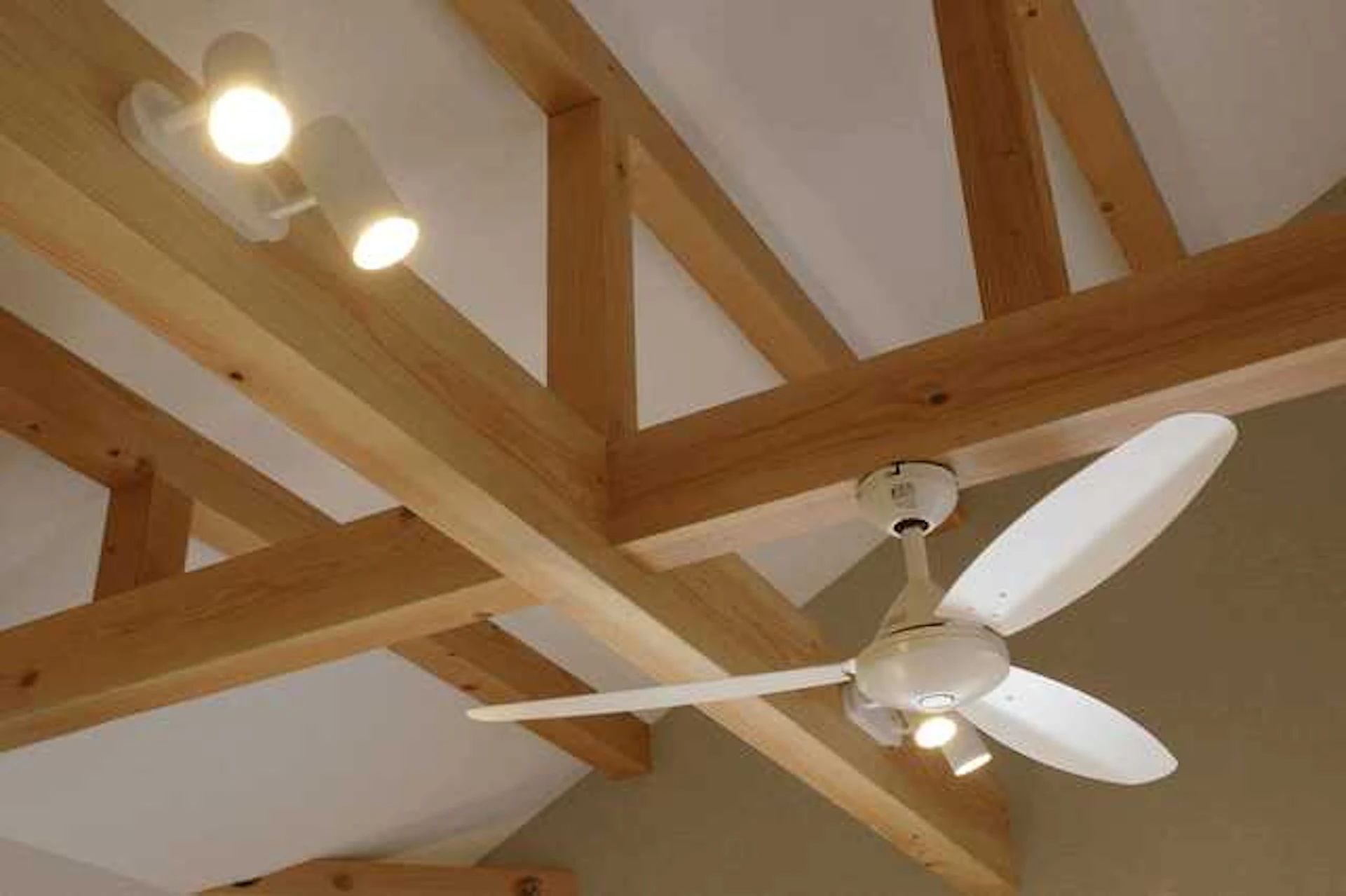 シーリングファンなどの設置で換気対策も万全に