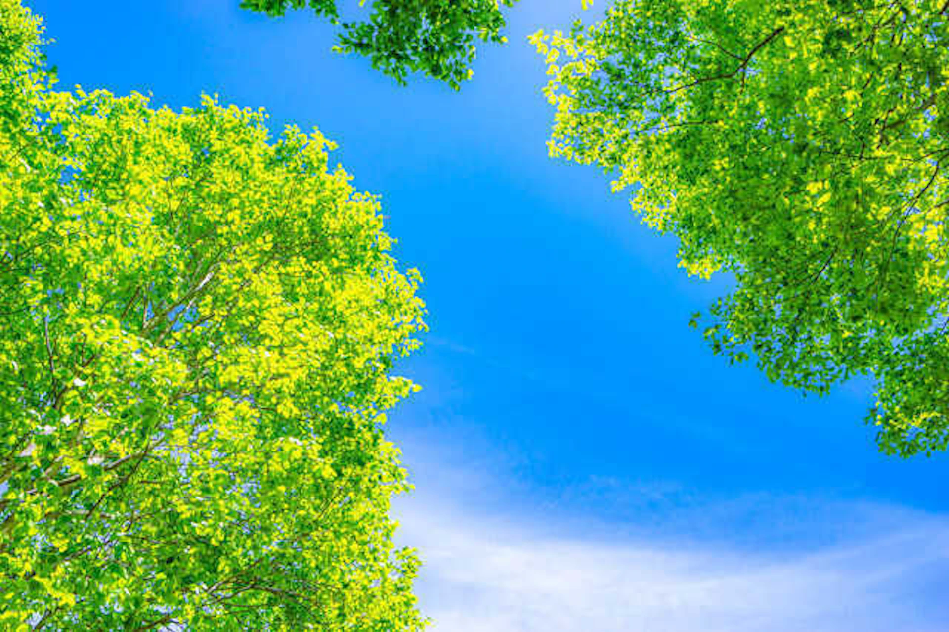 解体工事を行う季節に注意する