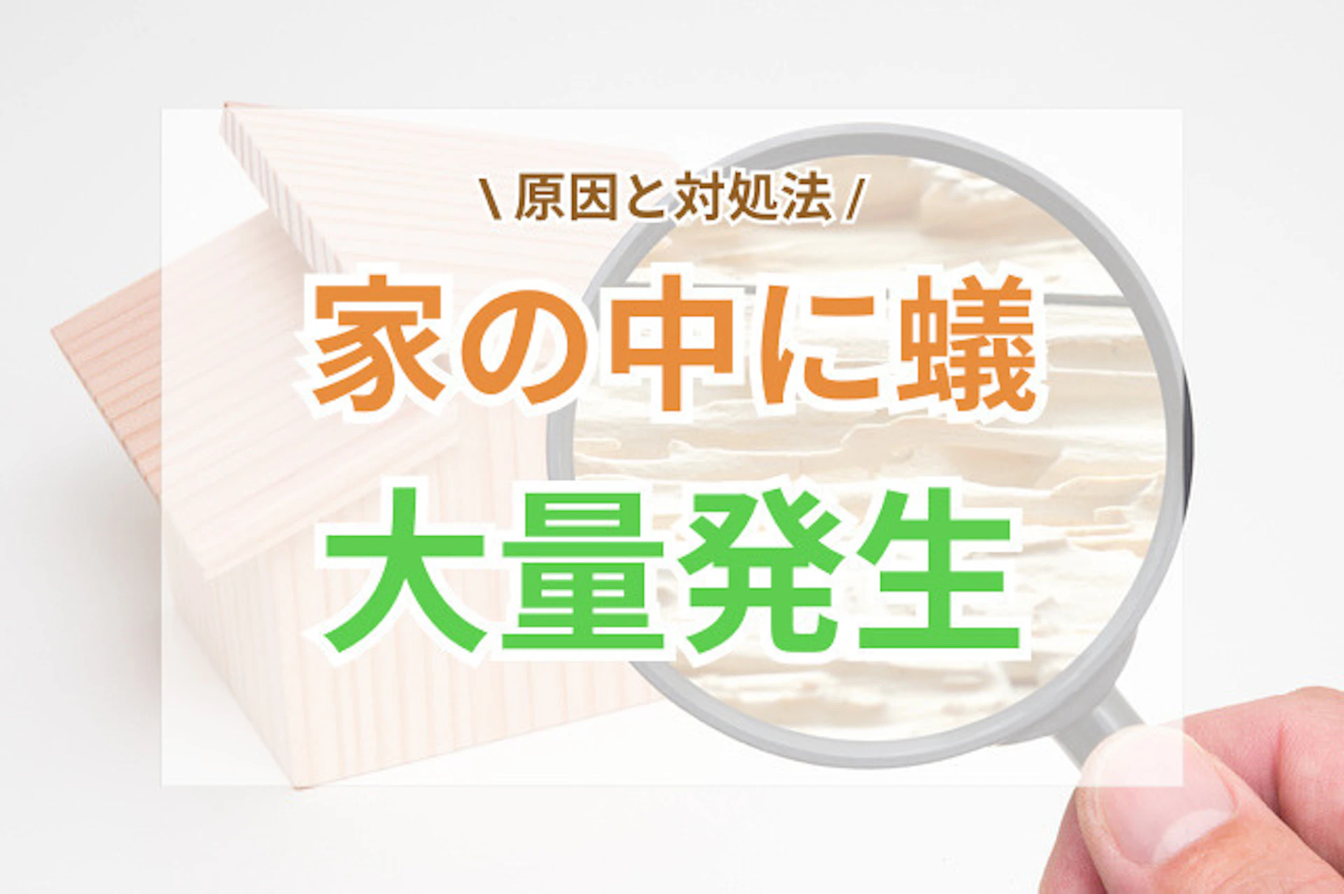 サムネイル：家の中に蟻が大量発生する原因と駆除方法