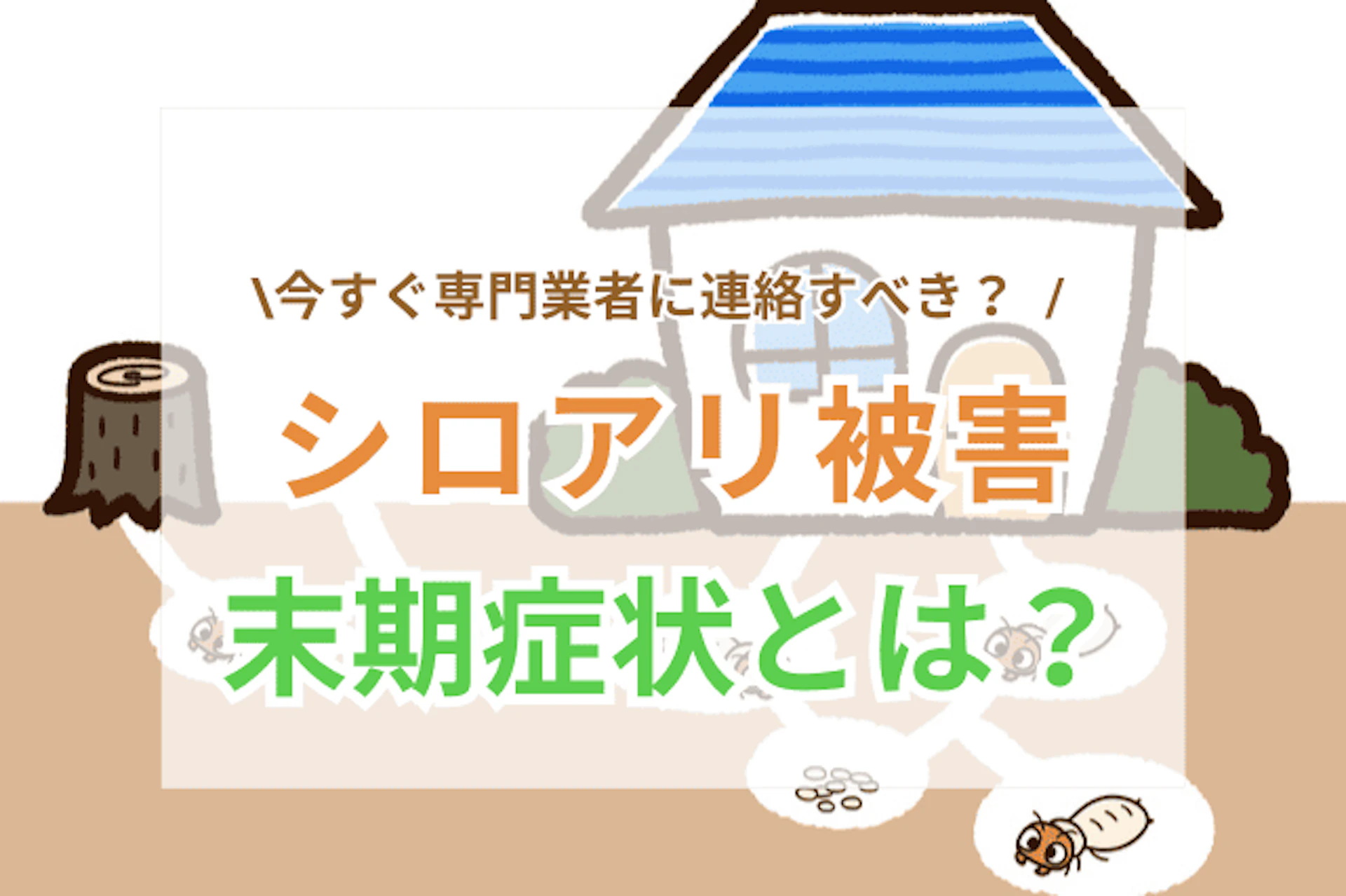 サムネイル：シロアリ被害の末期症状とは？｜今すぐ対策が必要な危険サインや応急処置の方法