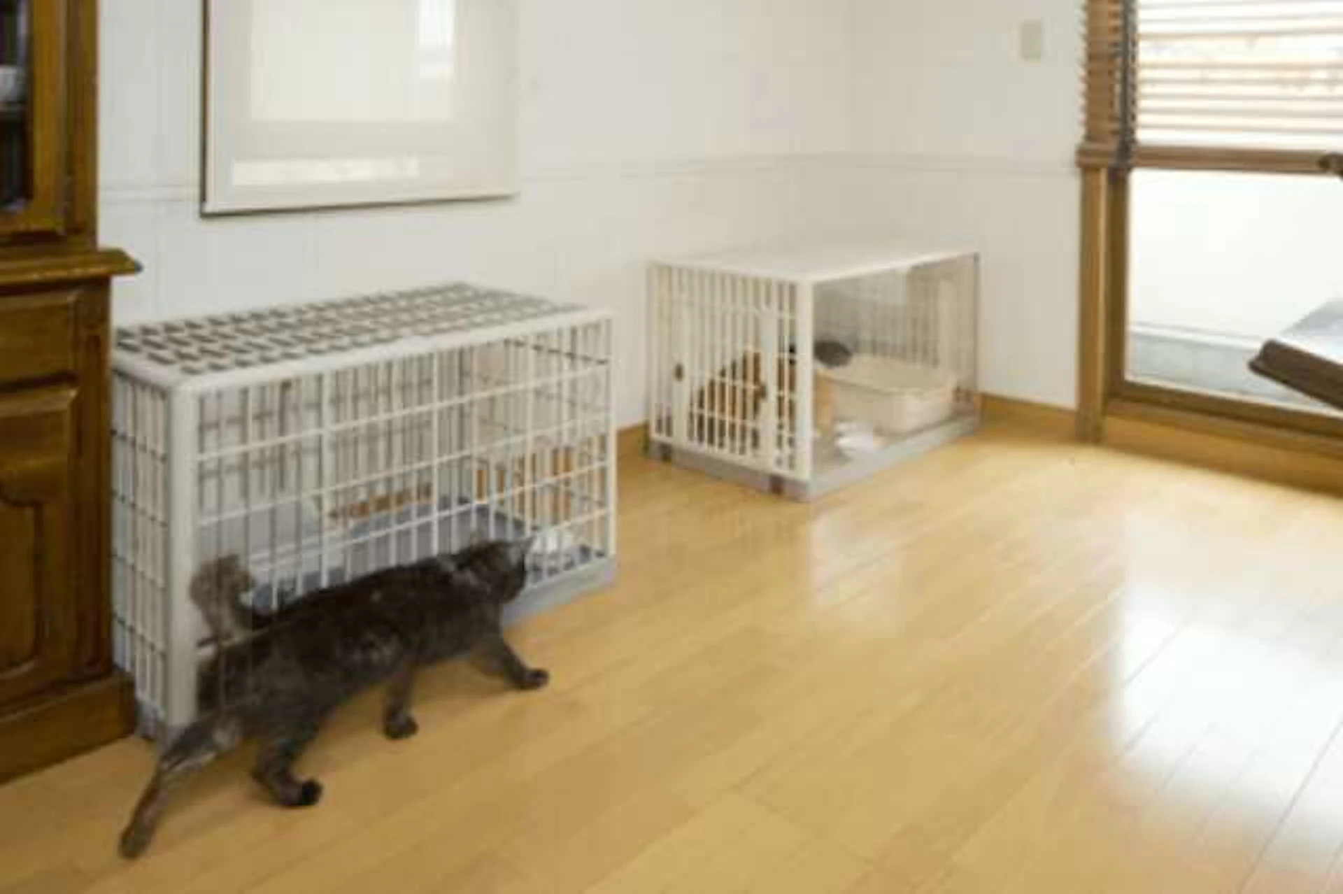 ペットが過ごす部屋の消臭・いたずら対策にも