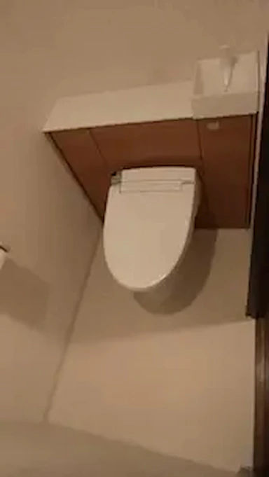 【約25万円】収納付きトイレへ取替工事