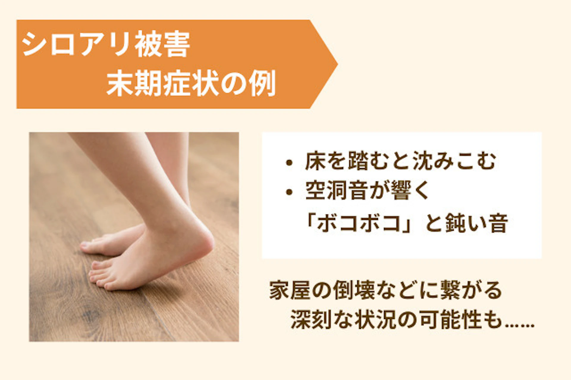 シロアリ被害の末期症状の例