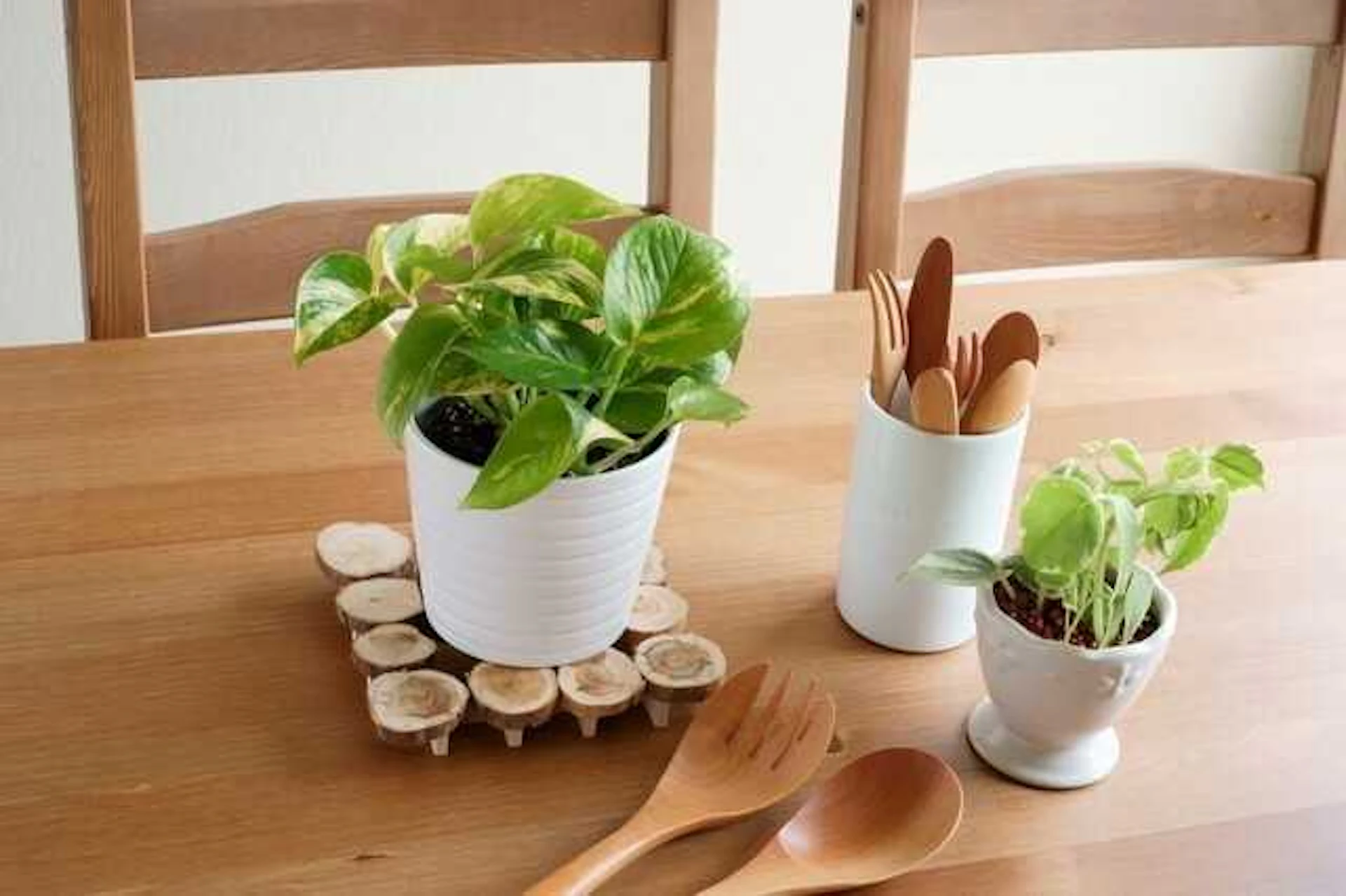 観葉植物を置く