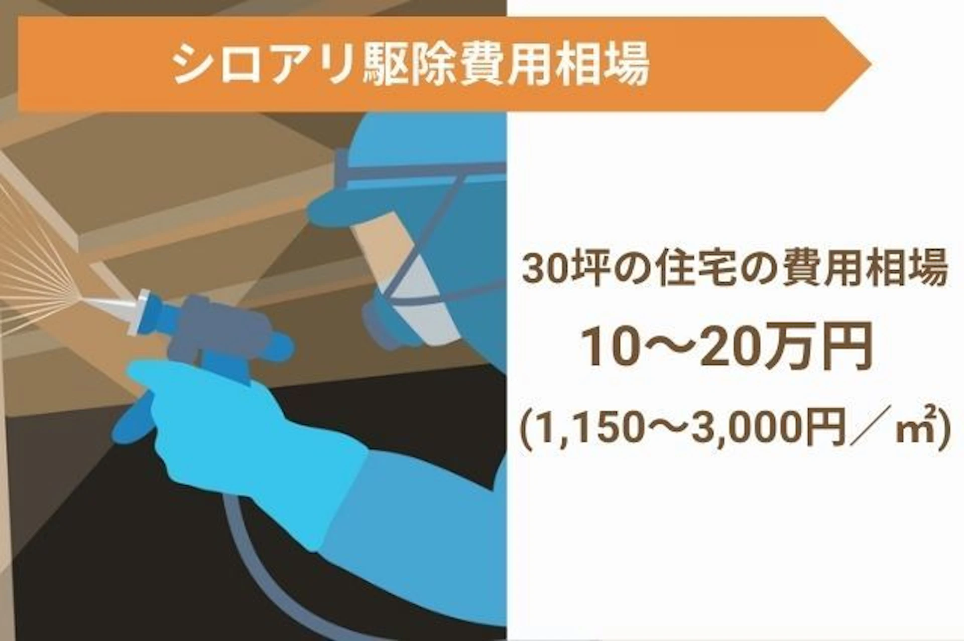 シロアリ駆除の費用相場は10~20万円が目安