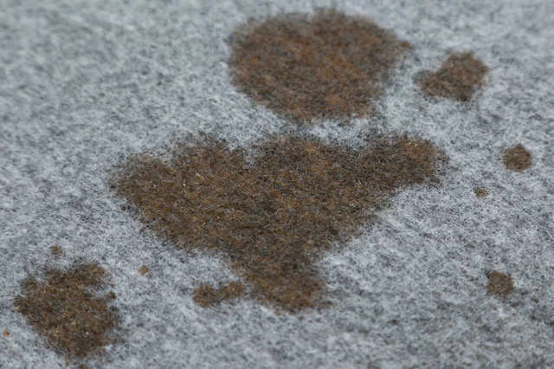 張替えのタイミング