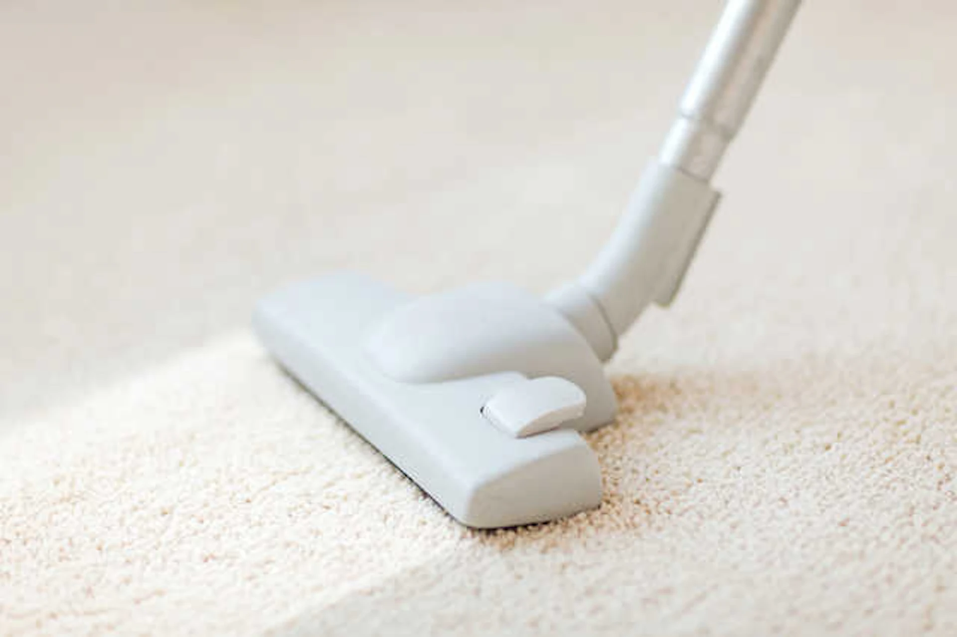 日常のお手入れ