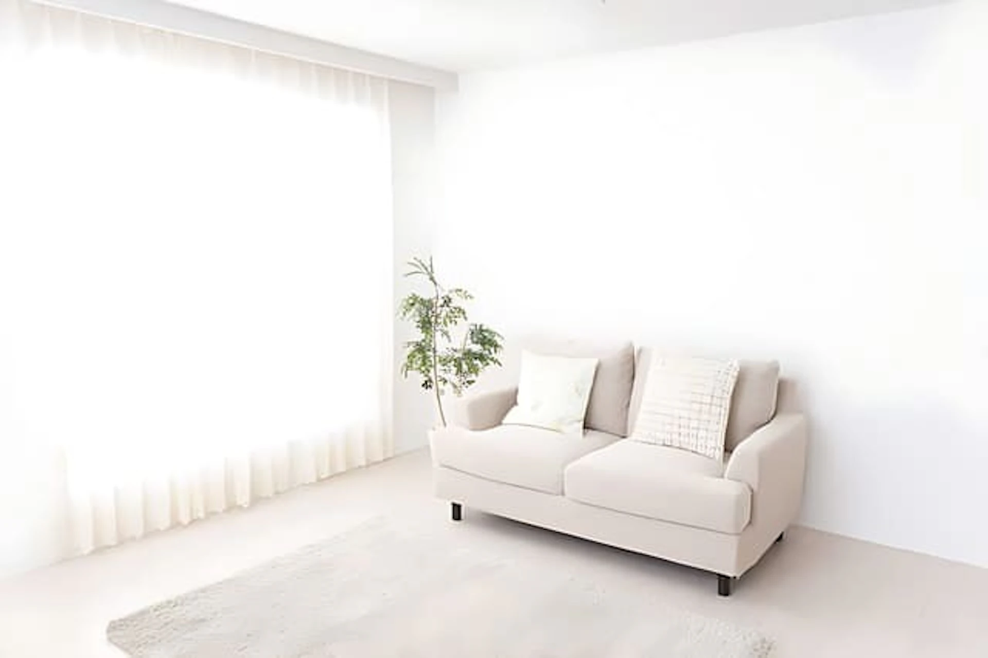 白を基調としたシンプルで清潔感のある部屋、ソファーと観葉植物