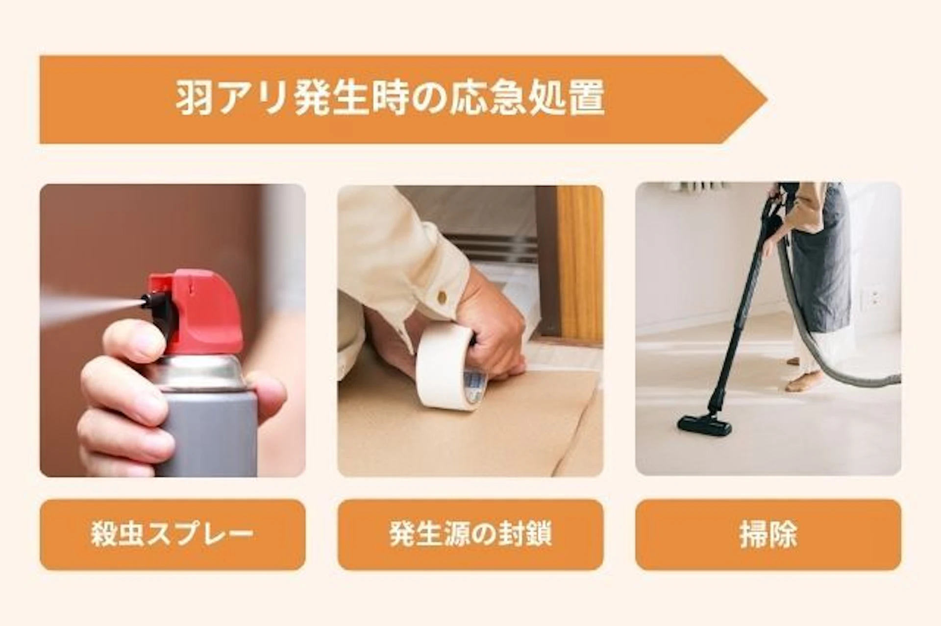 羽アリ発生時に自分でできる応急処置