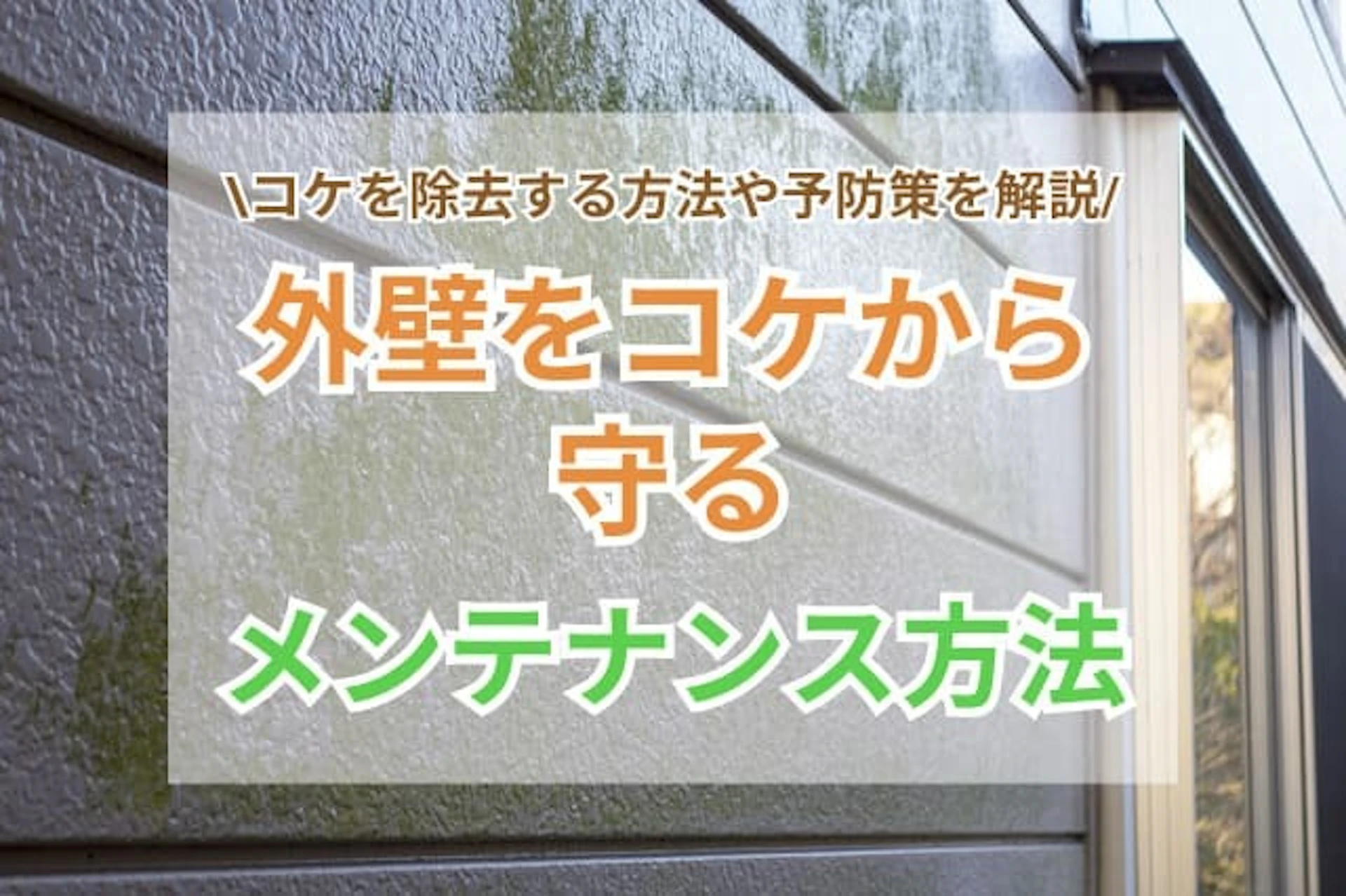 外壁をコケから守る方法やメンテナンスについてご紹介