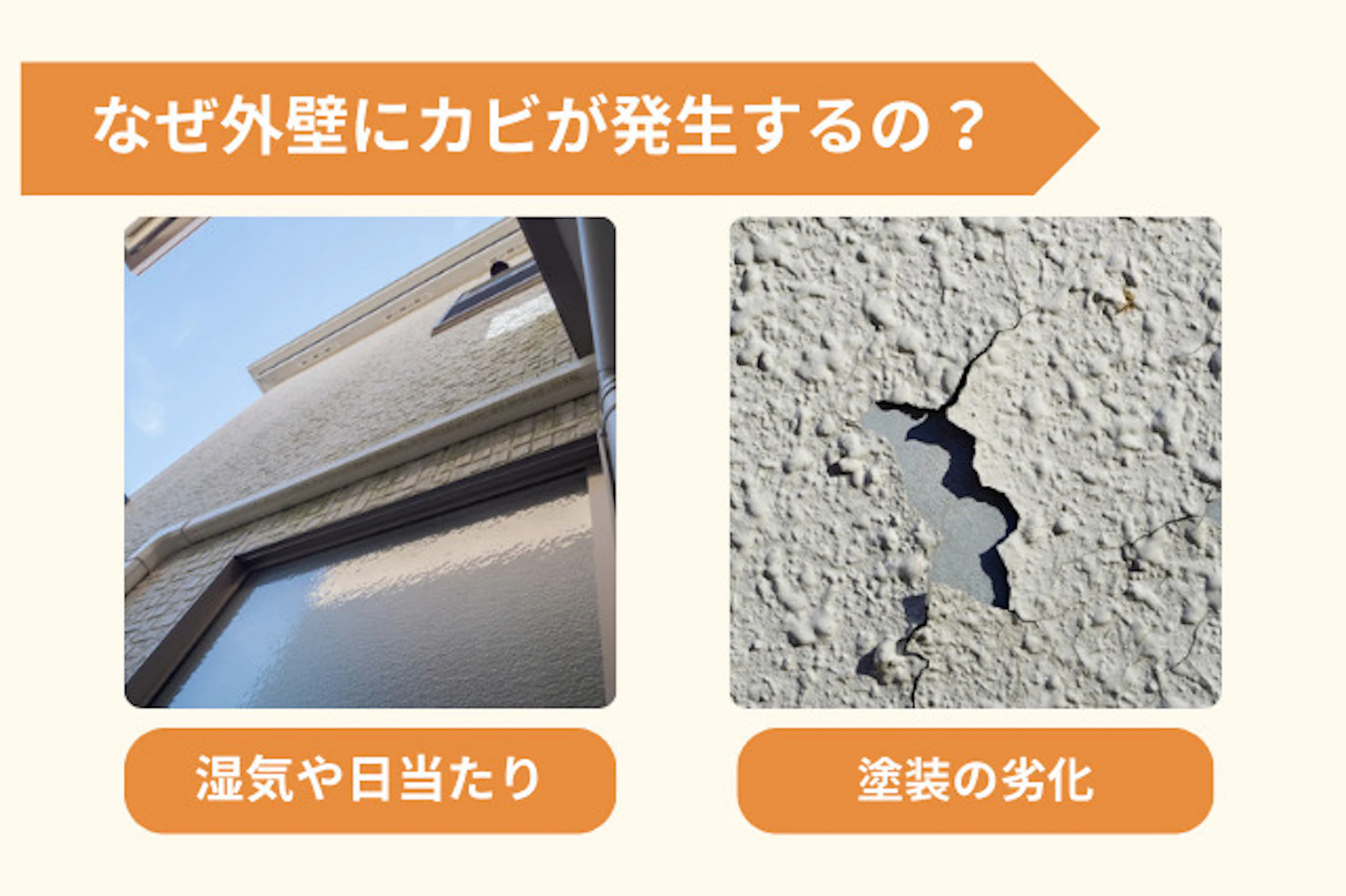 外壁にカビが発生する原因