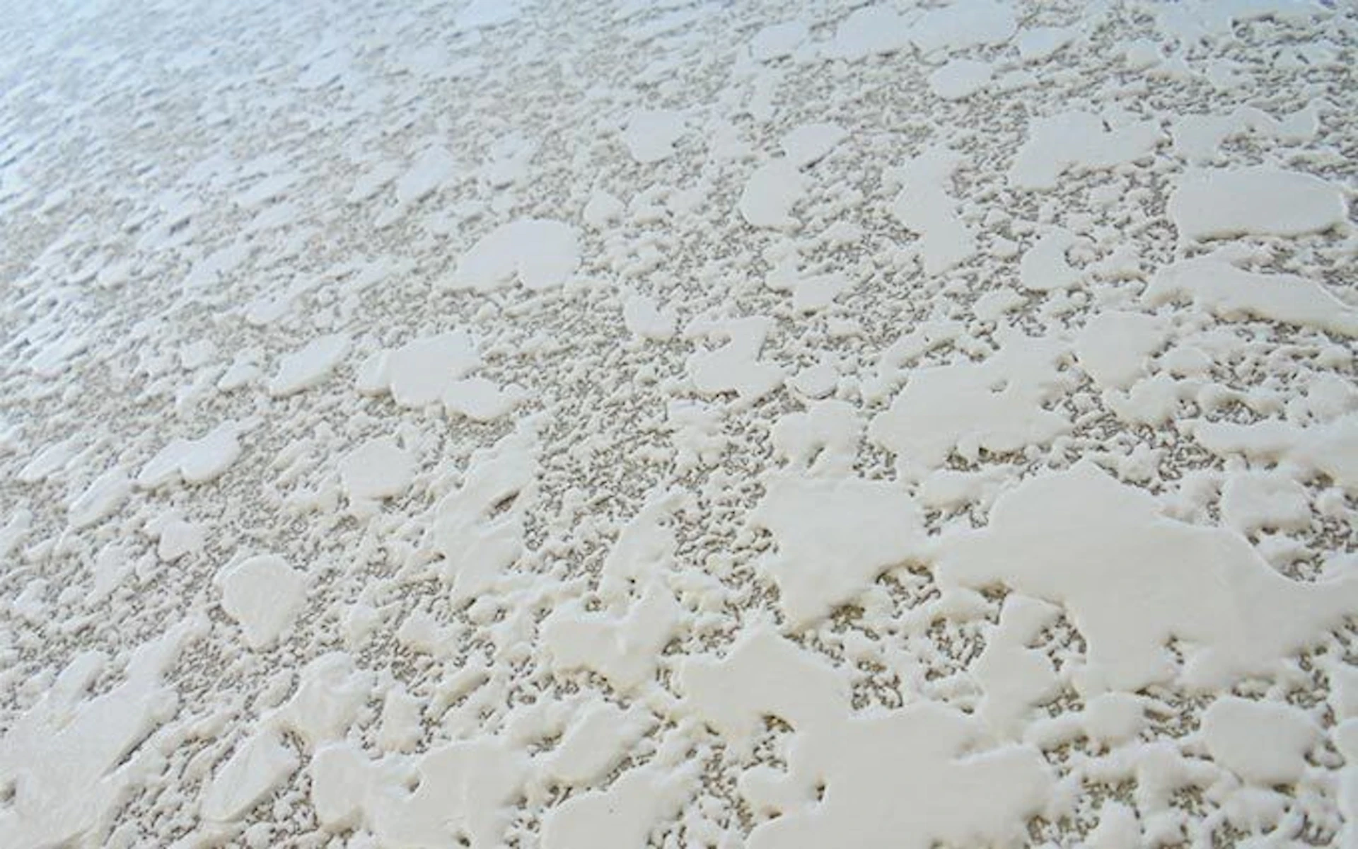 【11】玉を潰す(ヘッドカット)