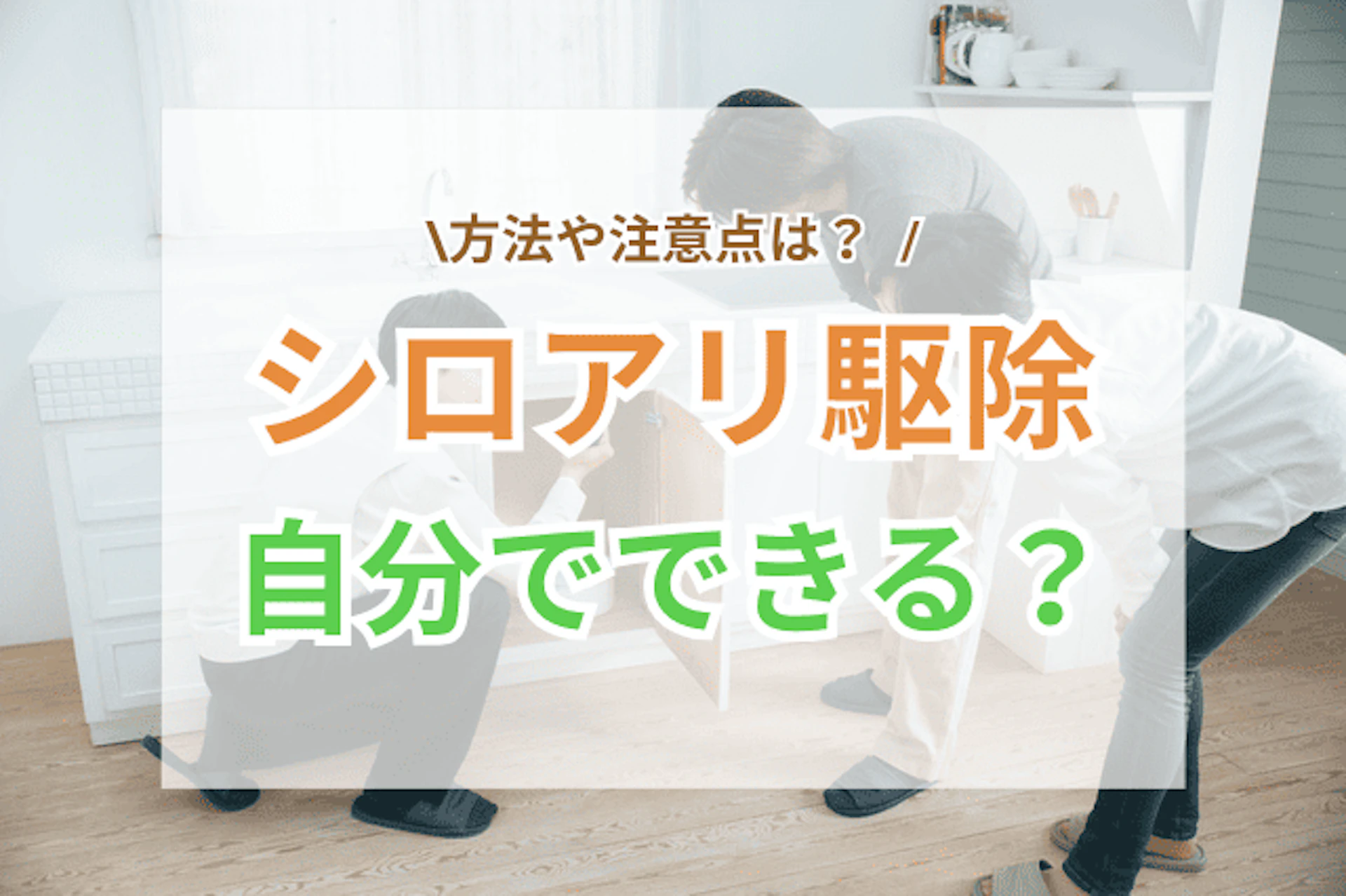 サムネイル:シロアリ駆除は自分でできる?方法や注意点は?