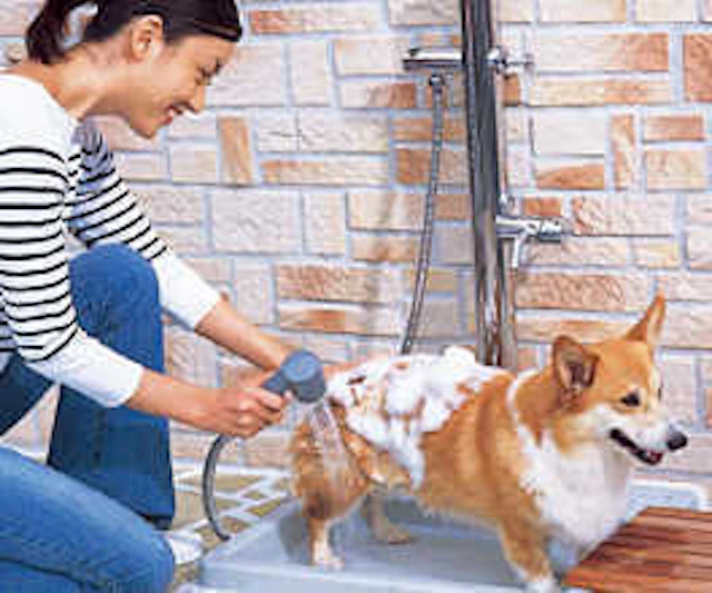 立水栓・シャワープレイスがあると便利