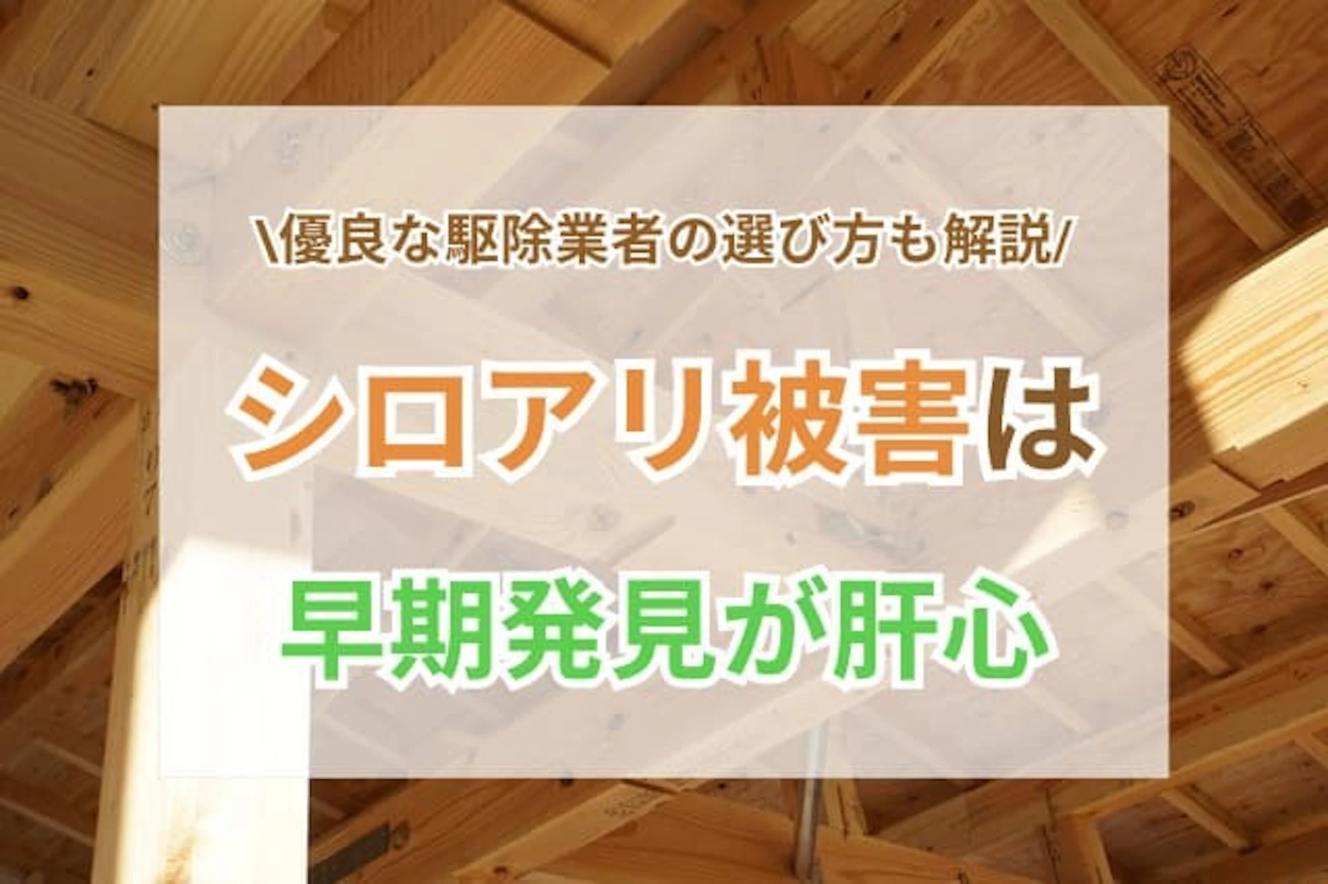 シロアリ 被害 サムネイル