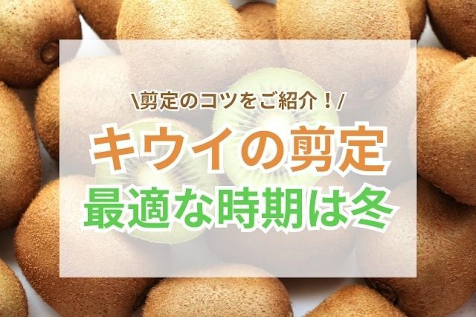 サムネイル：キウイの剪定の最適な時期は冬と夏？｜実をつけるための整え方