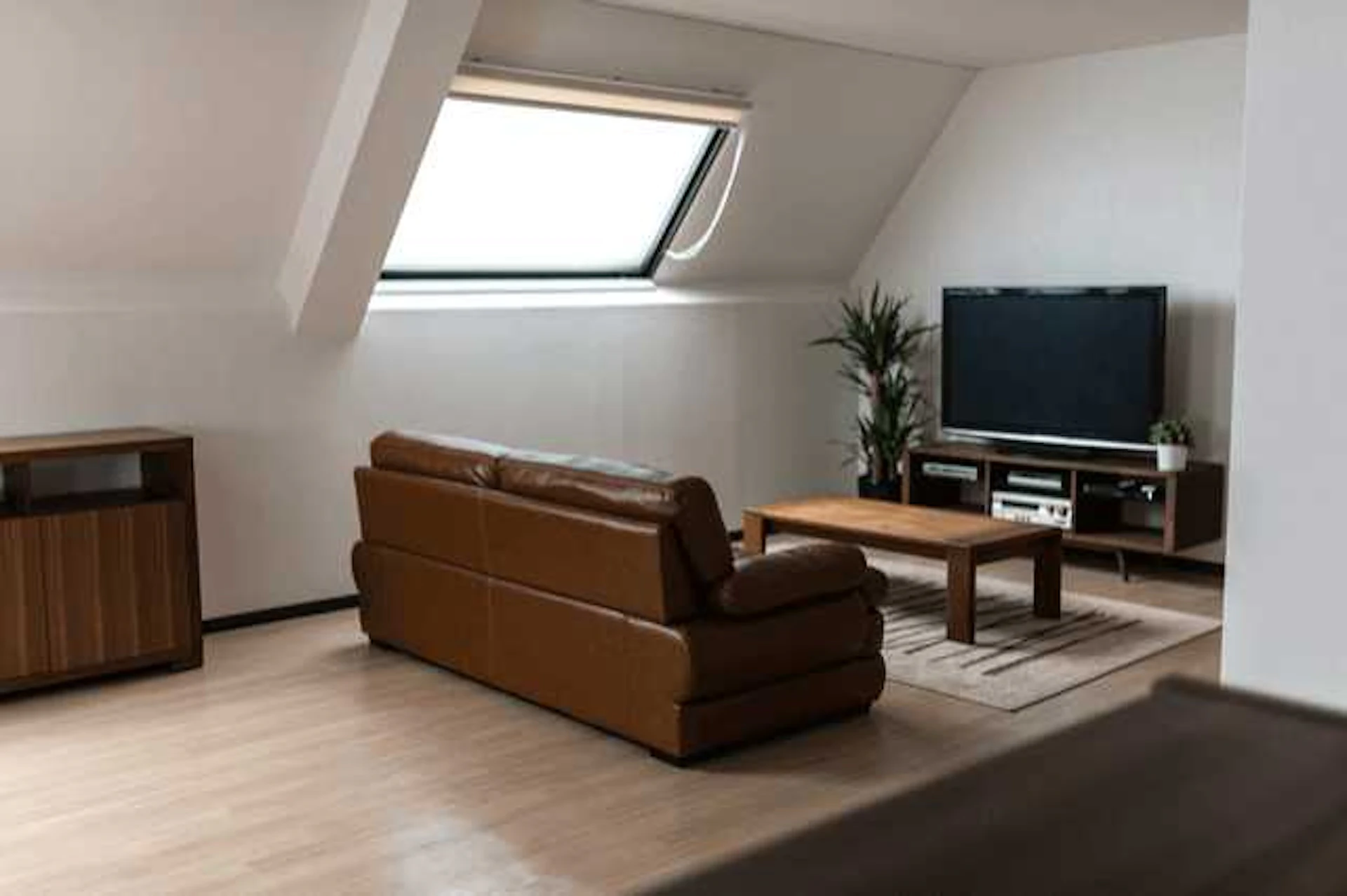 憧れの"天窓(トップライト)" がある暮らし♪優しい光が魅力的