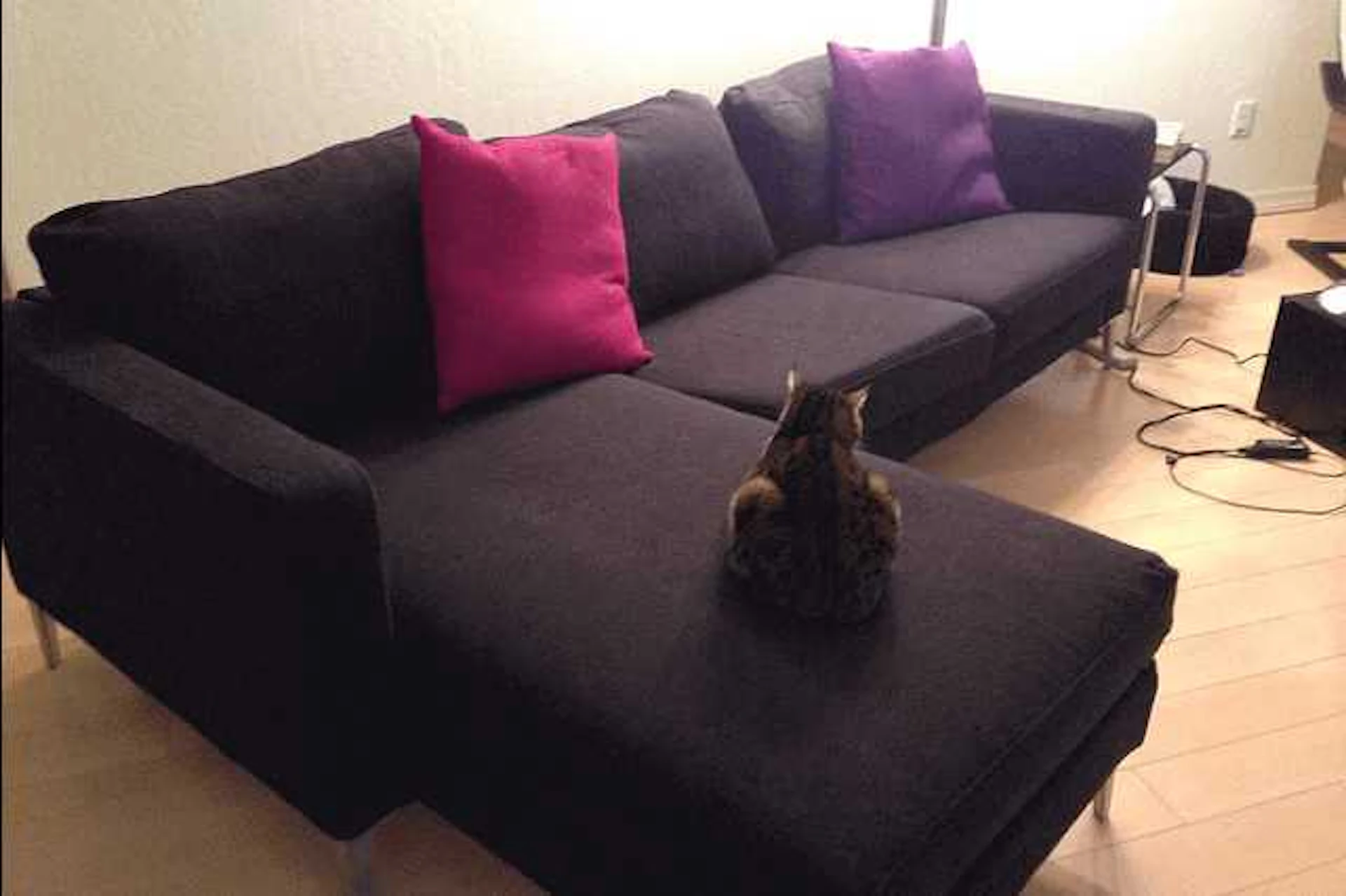 サムネイル：ソファーもベッドも使いたい！1台2役のソファベッドが優れもの♡