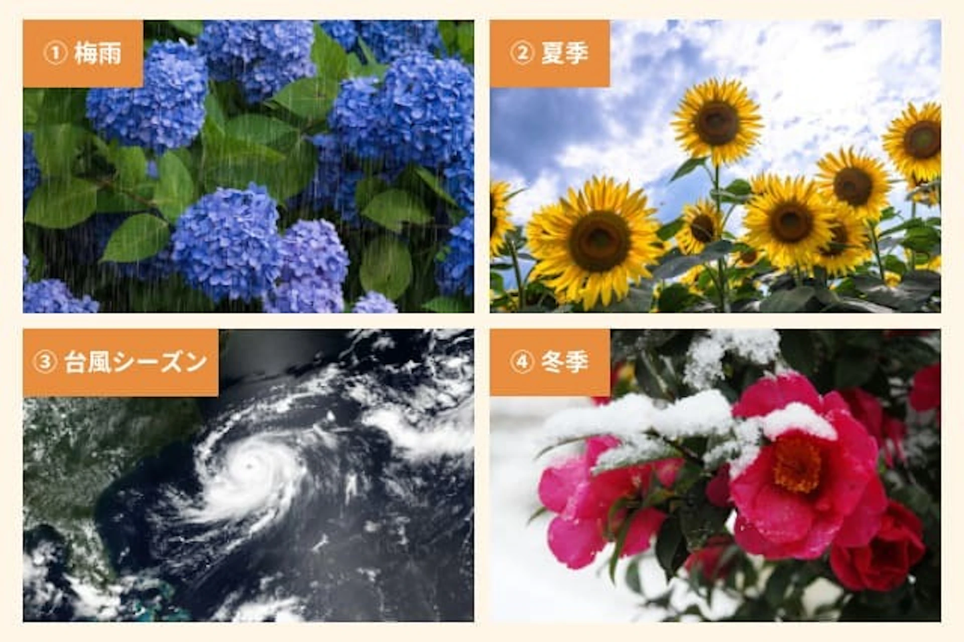 外壁塗装に不向きな月とその理由