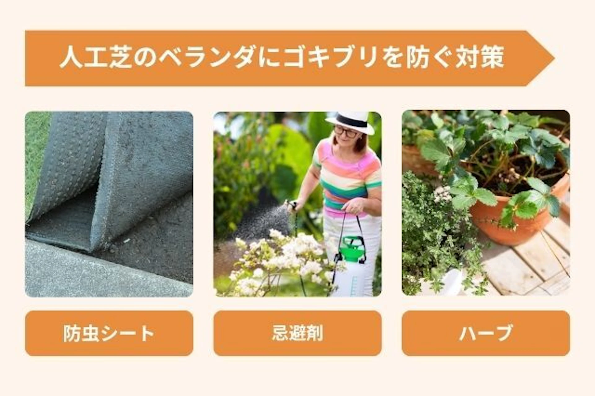 人工芝にゴキブリを寄せ付けない対処法