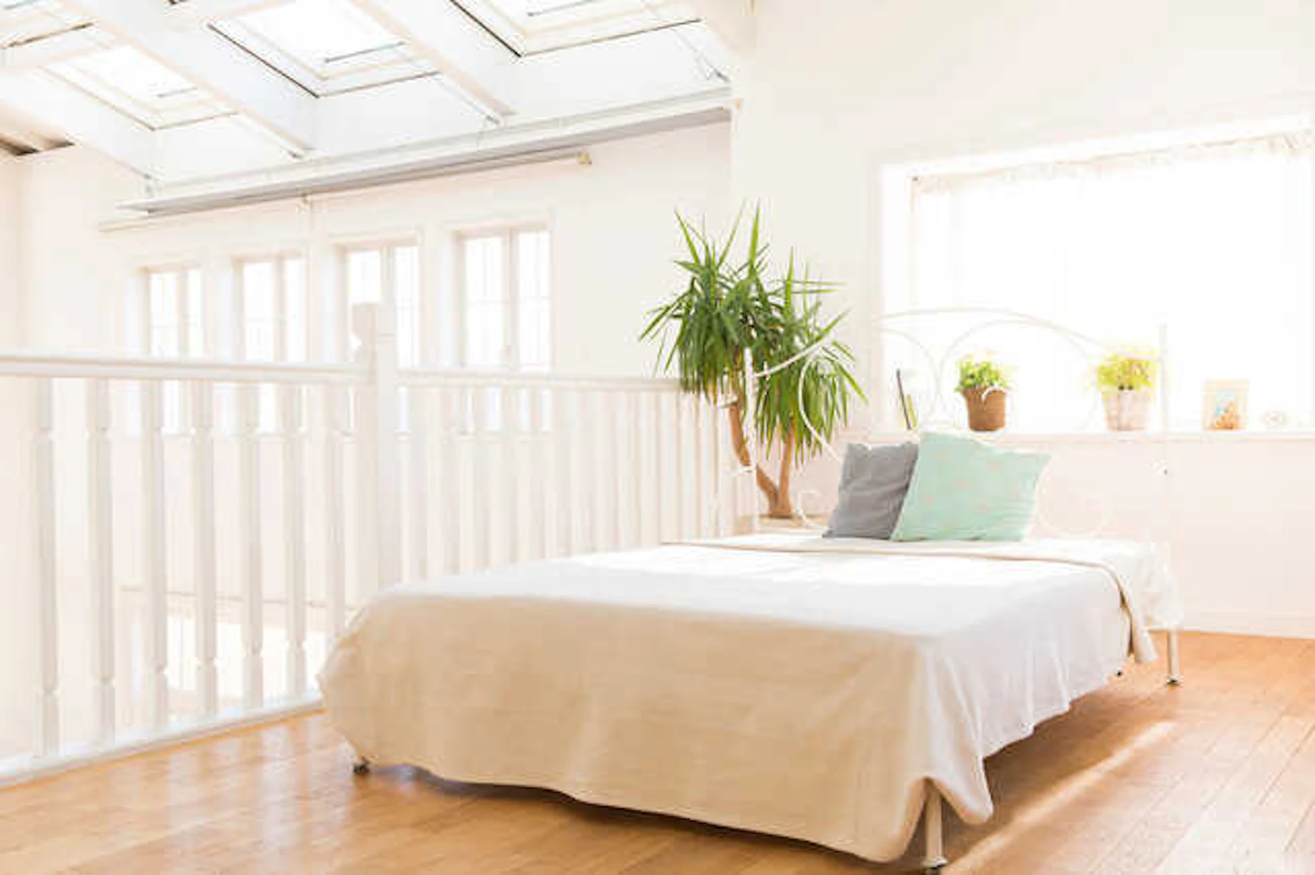 憧れの"天窓(トップライト)" がある暮らし♪優しい光が魅力的