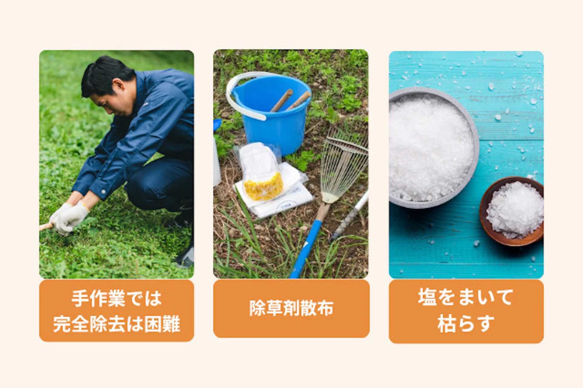 主なドクダミ駆除方法